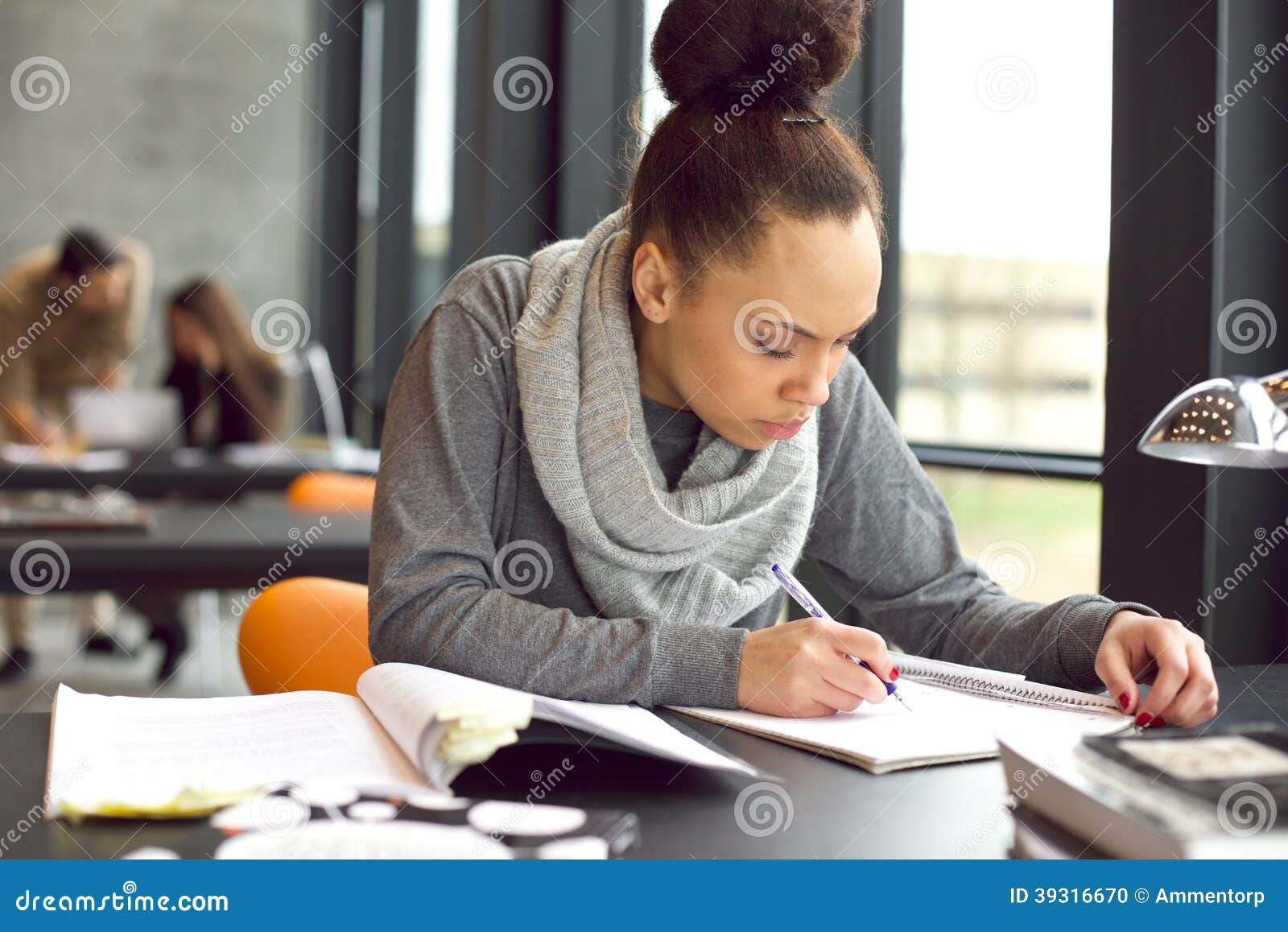 Americans Lady Analysis Americans Lady Analysis