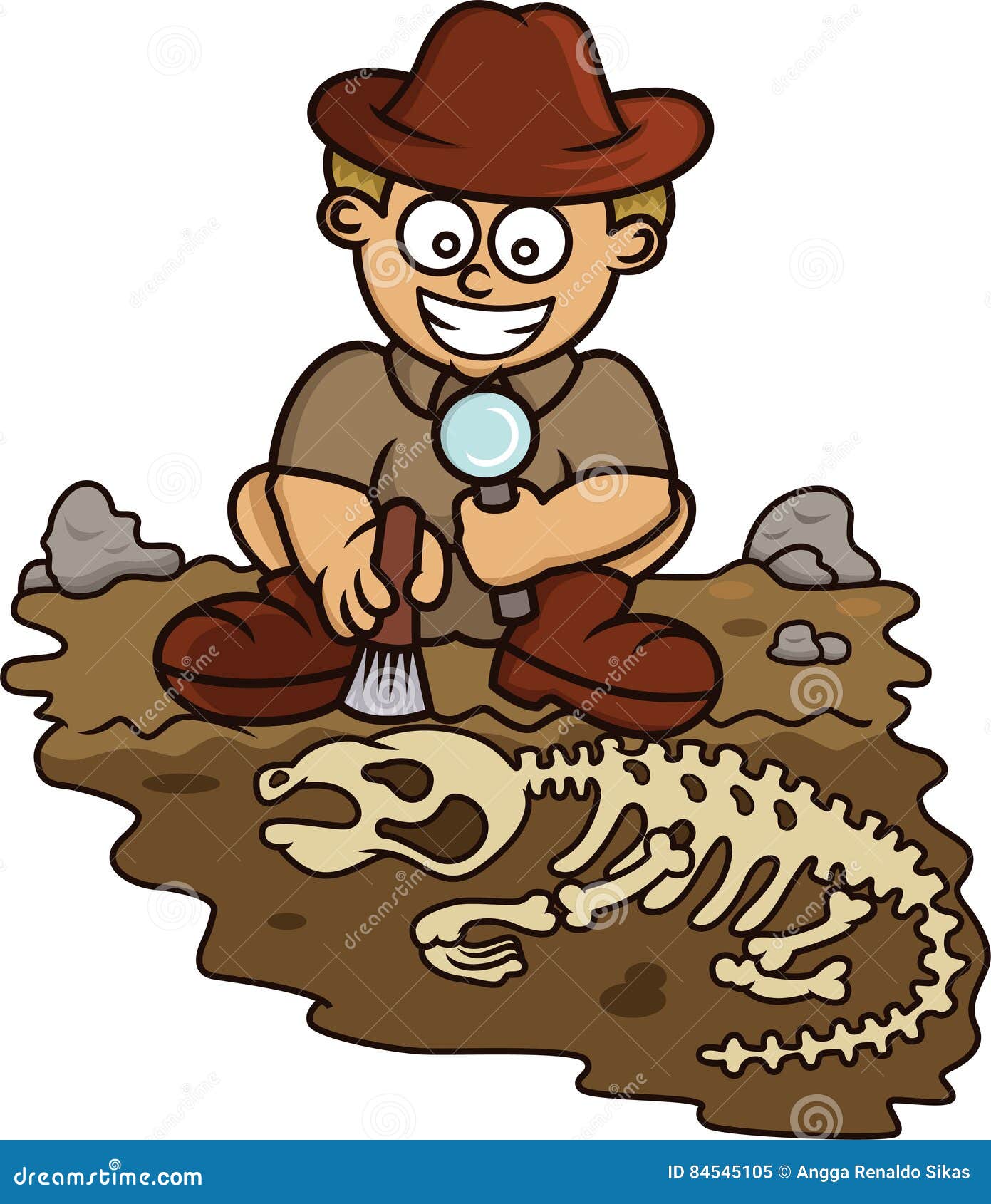 Fossil Remains Of Corals Living In France At The Age Jurassic, Vintage