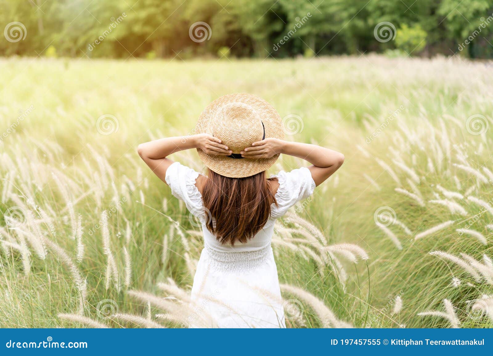 Young Asian Woman Relaxing and Enjoying in the Flower Field while ...