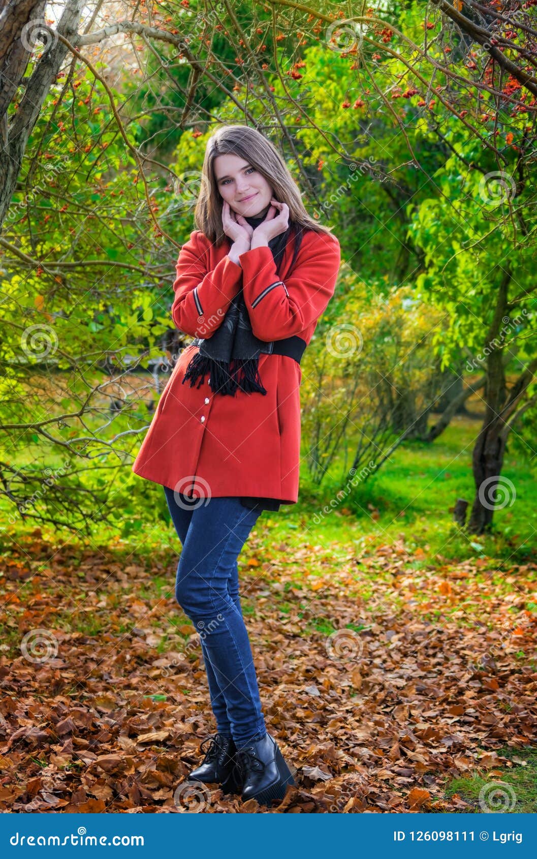 Young Attractive Woman in Autumn Day Outdoors. Stock Image - Image of ...