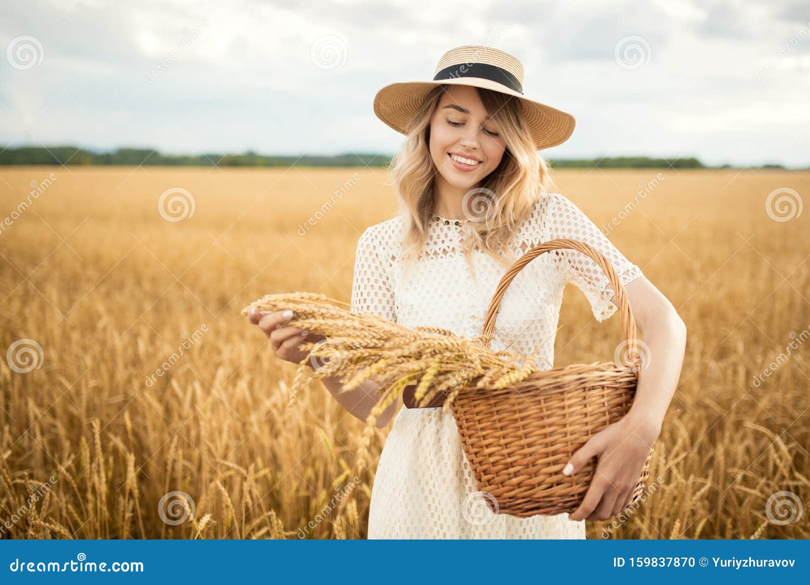 Young Attractive Woman and Golden Wheat Field. Stock Photo - Image of ...