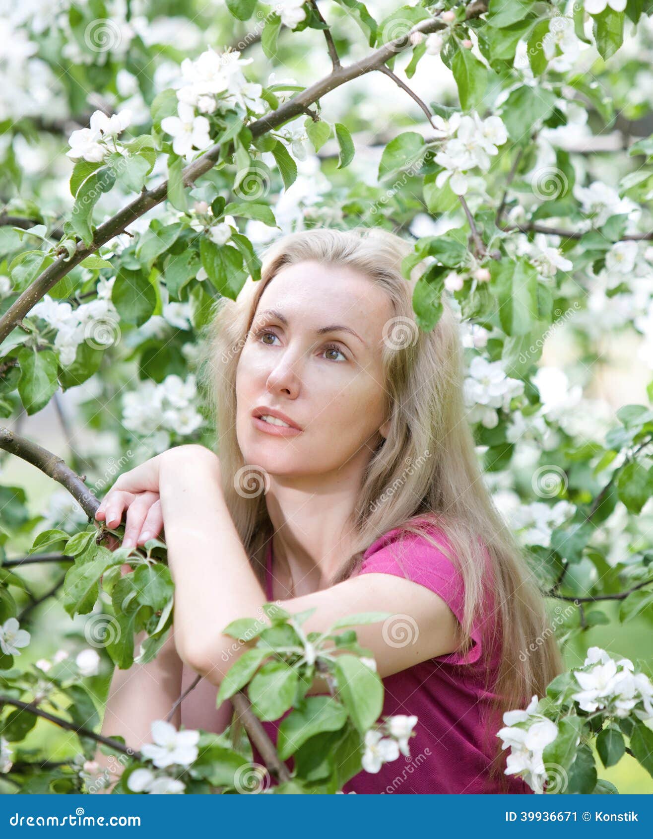Young Attractive Woman Standing Near The Blossoming Apple Tree Stock Image Image Of Blossom