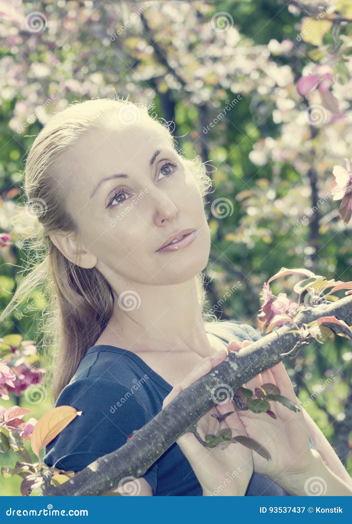 Young Attractive Woman Standing Near The Blossoming Crimson Apple Tree Toning Stock Image