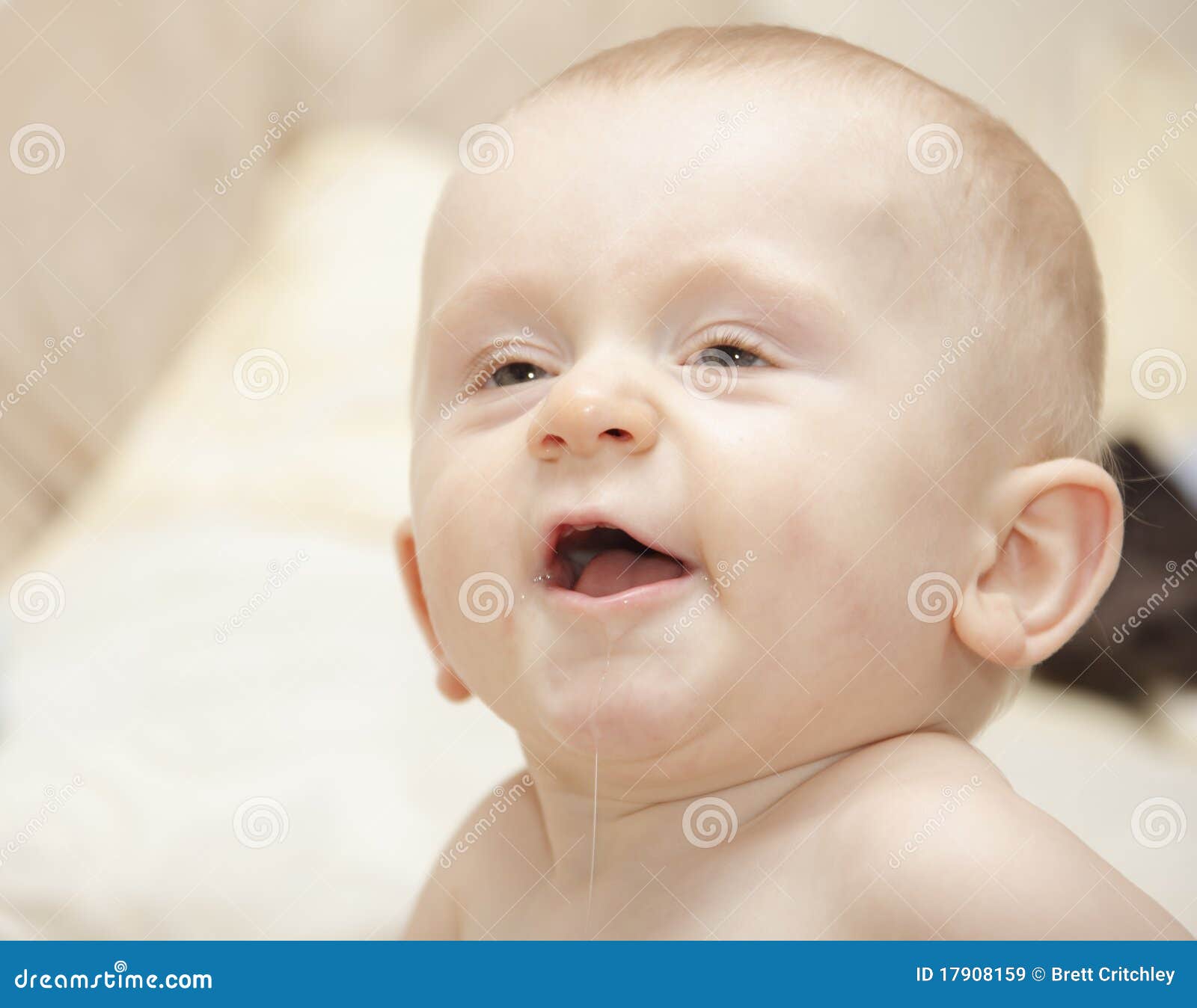 Young Baby Boy Laughing Royalty Free Stock Images Image 17908159