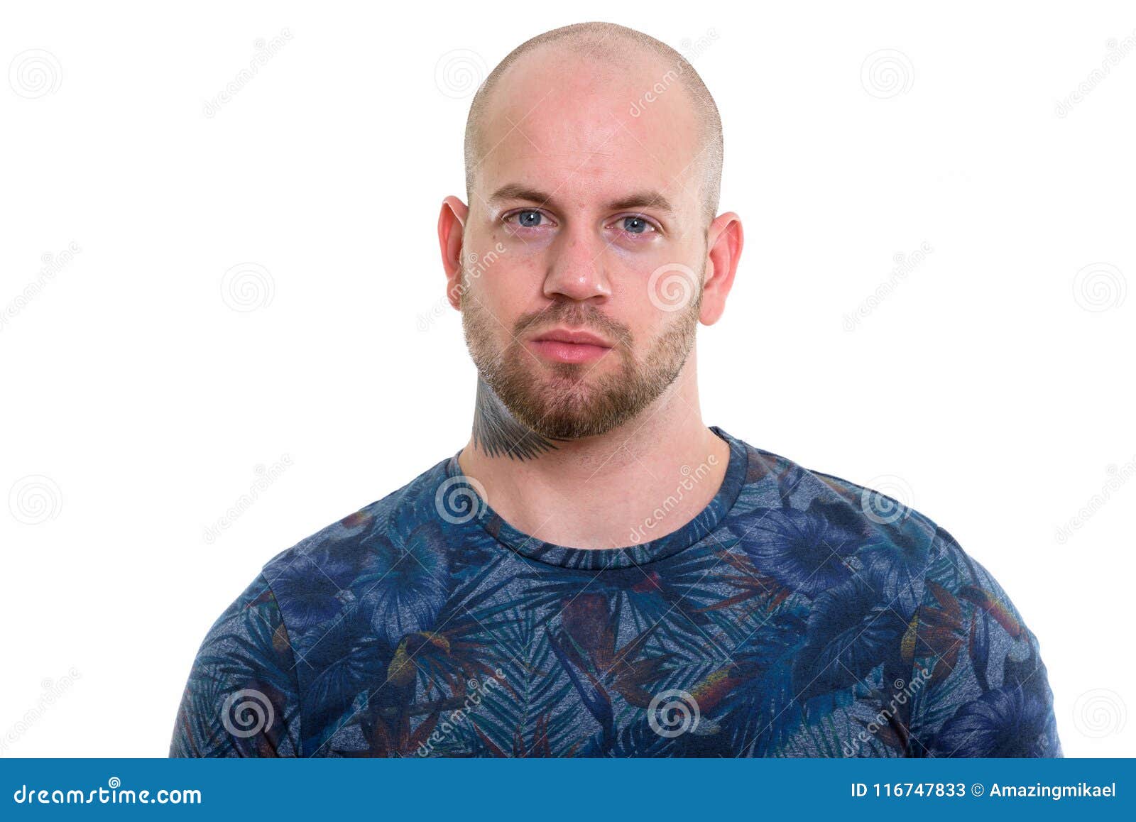 Young bald muscular man stock image. Image of macho - 116747833