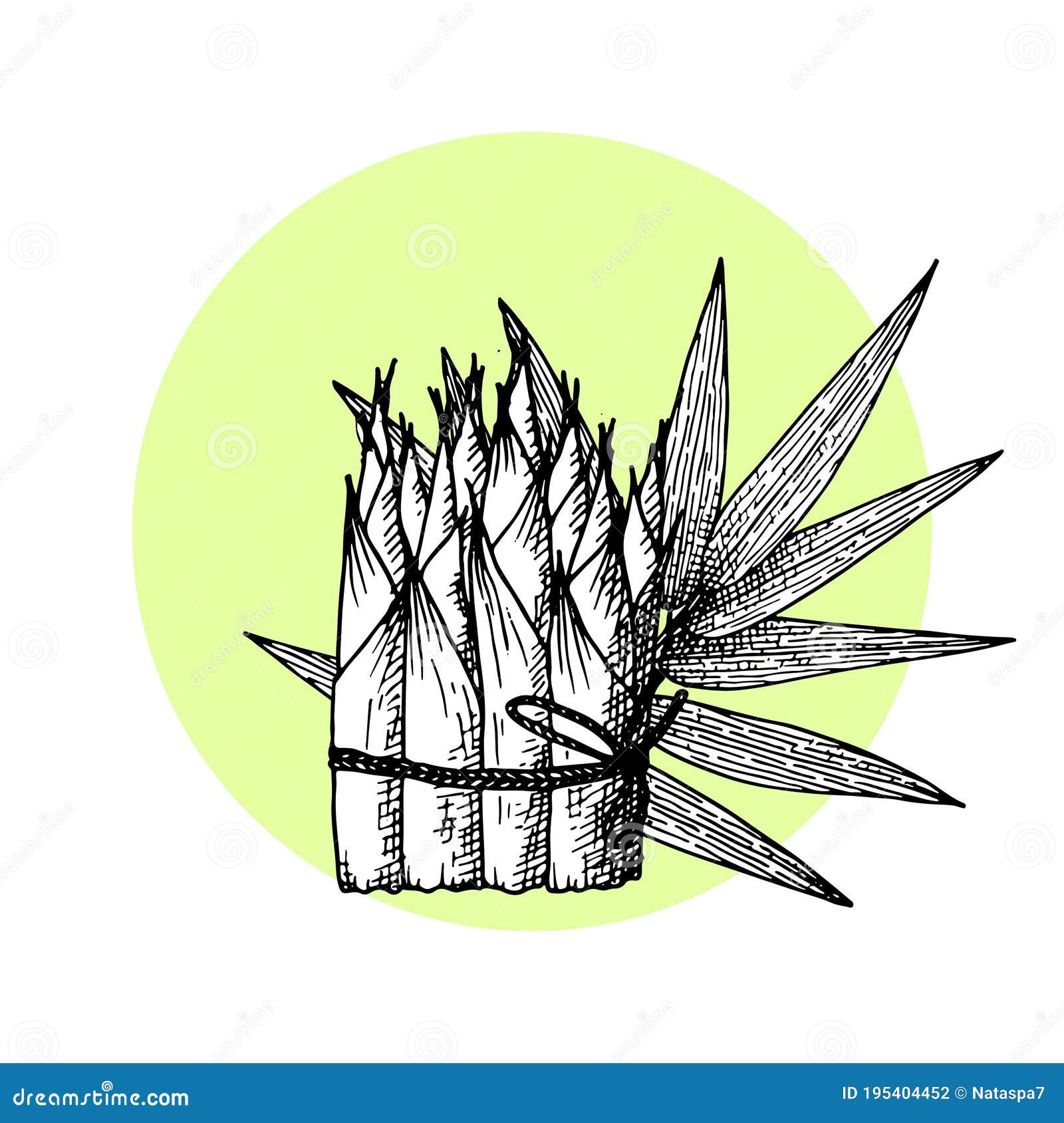 Young Bamboo Shoots. Ink Sketch. Stock Vector Illustration of bamboo, leaf 195404452