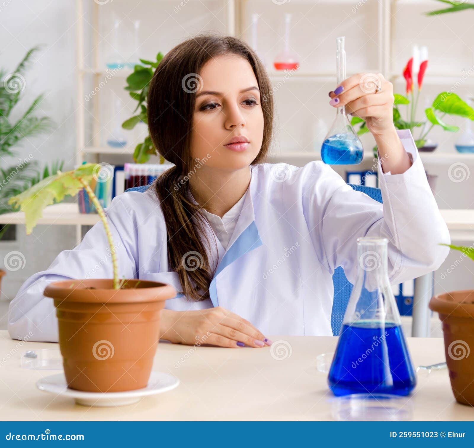 Young Beautiful Biotechnology Chemist Working in the Lab Stock Image