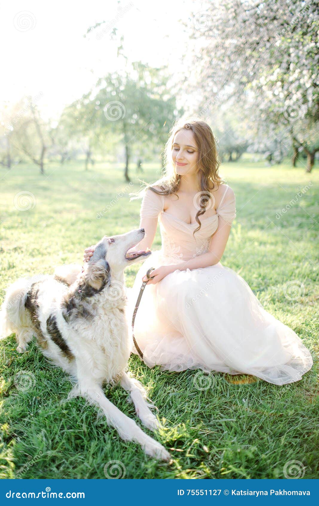 Young Beautiful Bride in Wedding Dress with Greyhound Outdoors Stock