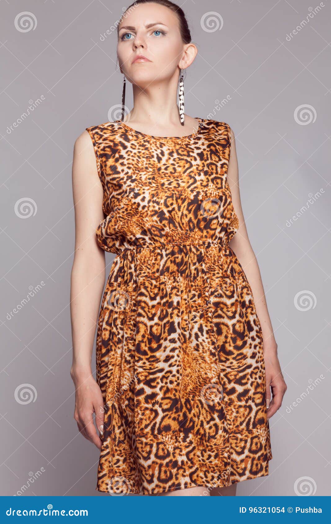 Young Beautiful Girl in Leopard Dress Stock Photo Image of hair, fashion 96321054