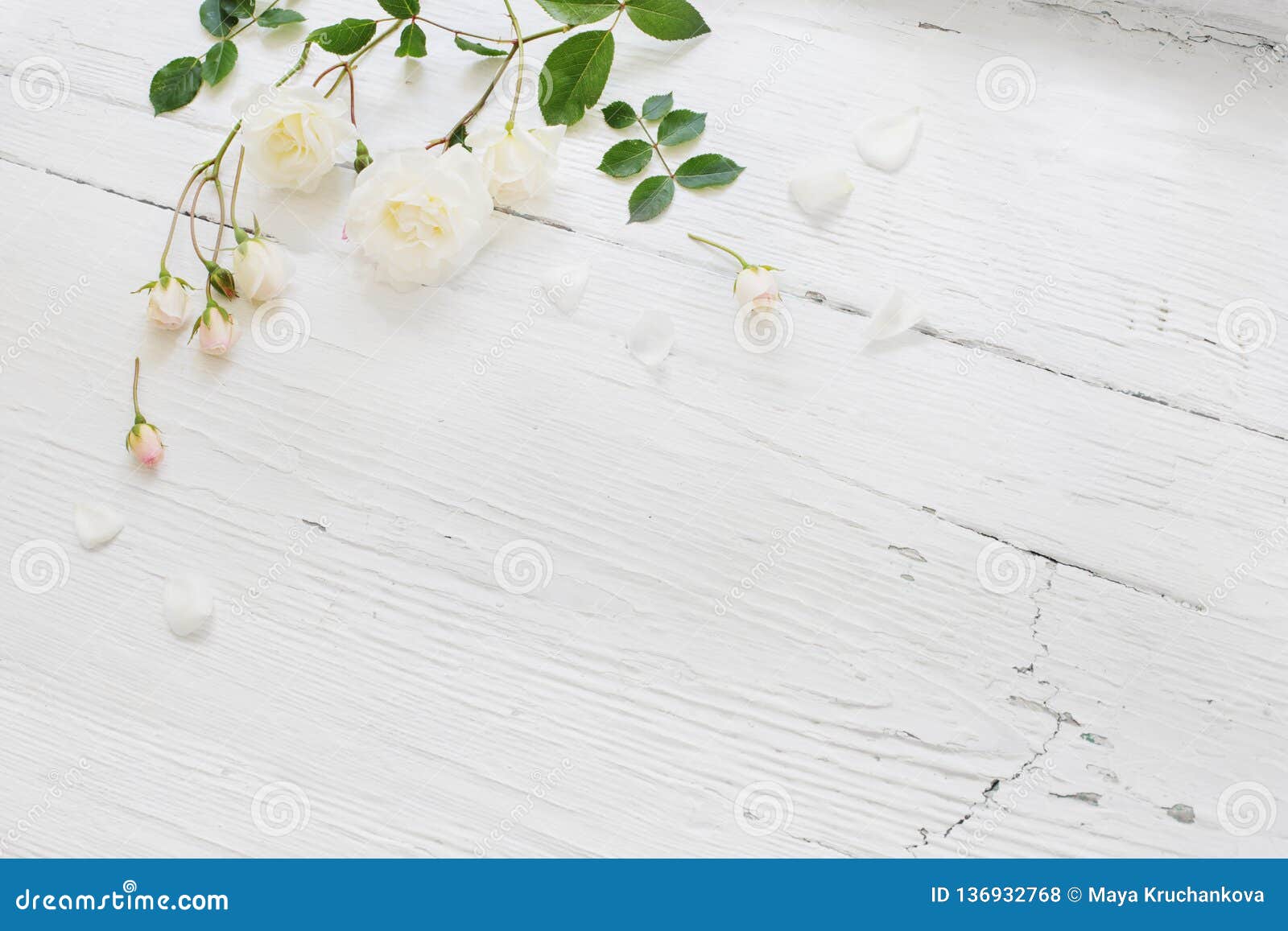 https://thumbs.dreamstime.com/z/young-beautiful-girl-posing-nude-studio-standing-blue-dress-near-white-wall-136932768.jpg