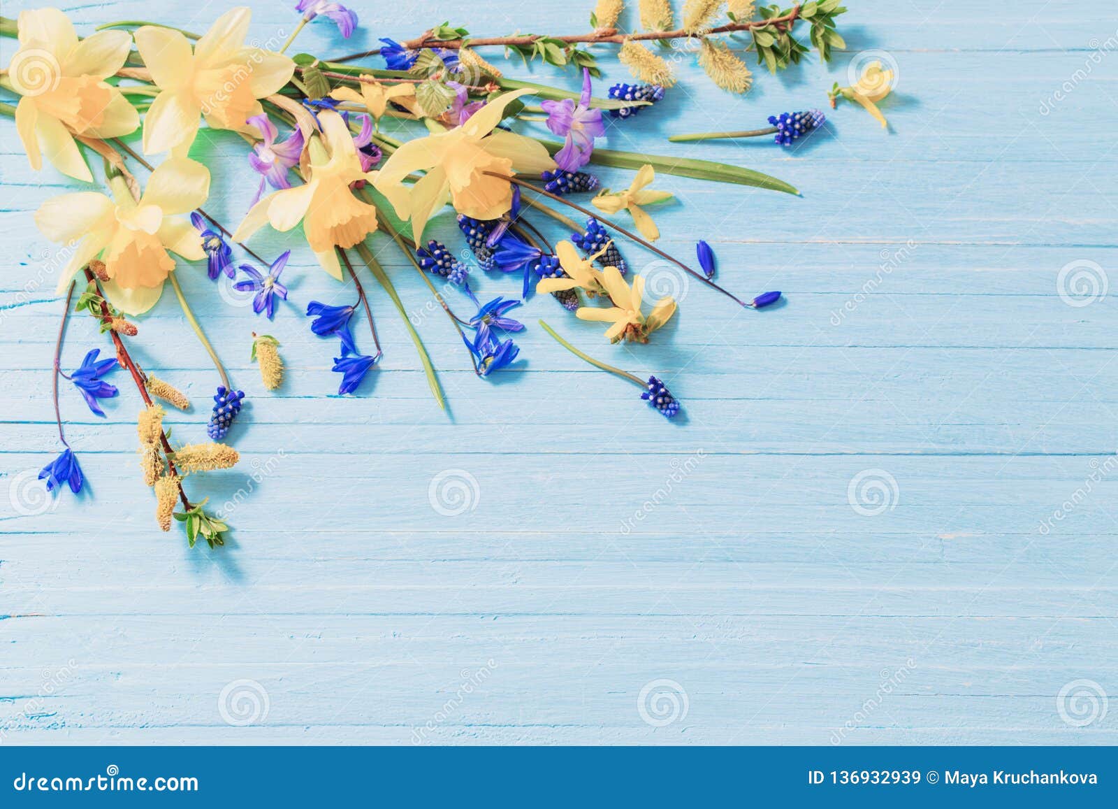 https://thumbs.dreamstime.com/z/young-beautiful-girl-posing-nude-studio-standing-blue-dress-near-white-wall-136932939.jpg