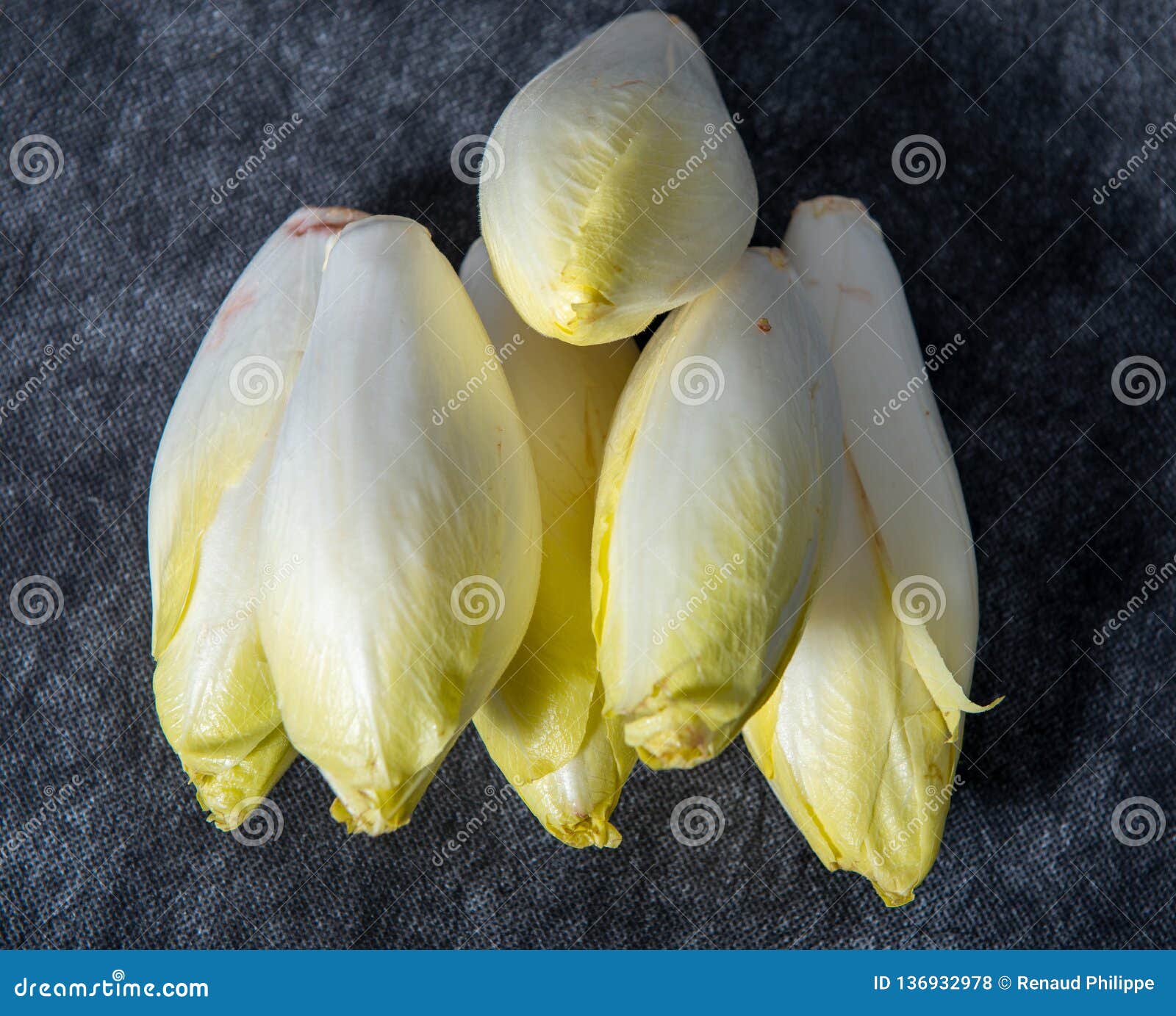 https://thumbs.dreamstime.com/z/young-beautiful-girl-posing-nude-studio-standing-blue-dress-near-white-wall-136932978.jpg