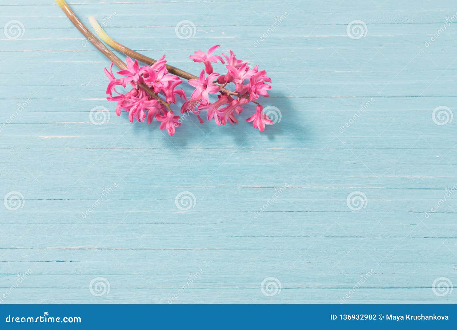 https://thumbs.dreamstime.com/z/young-beautiful-girl-posing-nude-studio-standing-blue-dress-near-white-wall-136932982.jpg