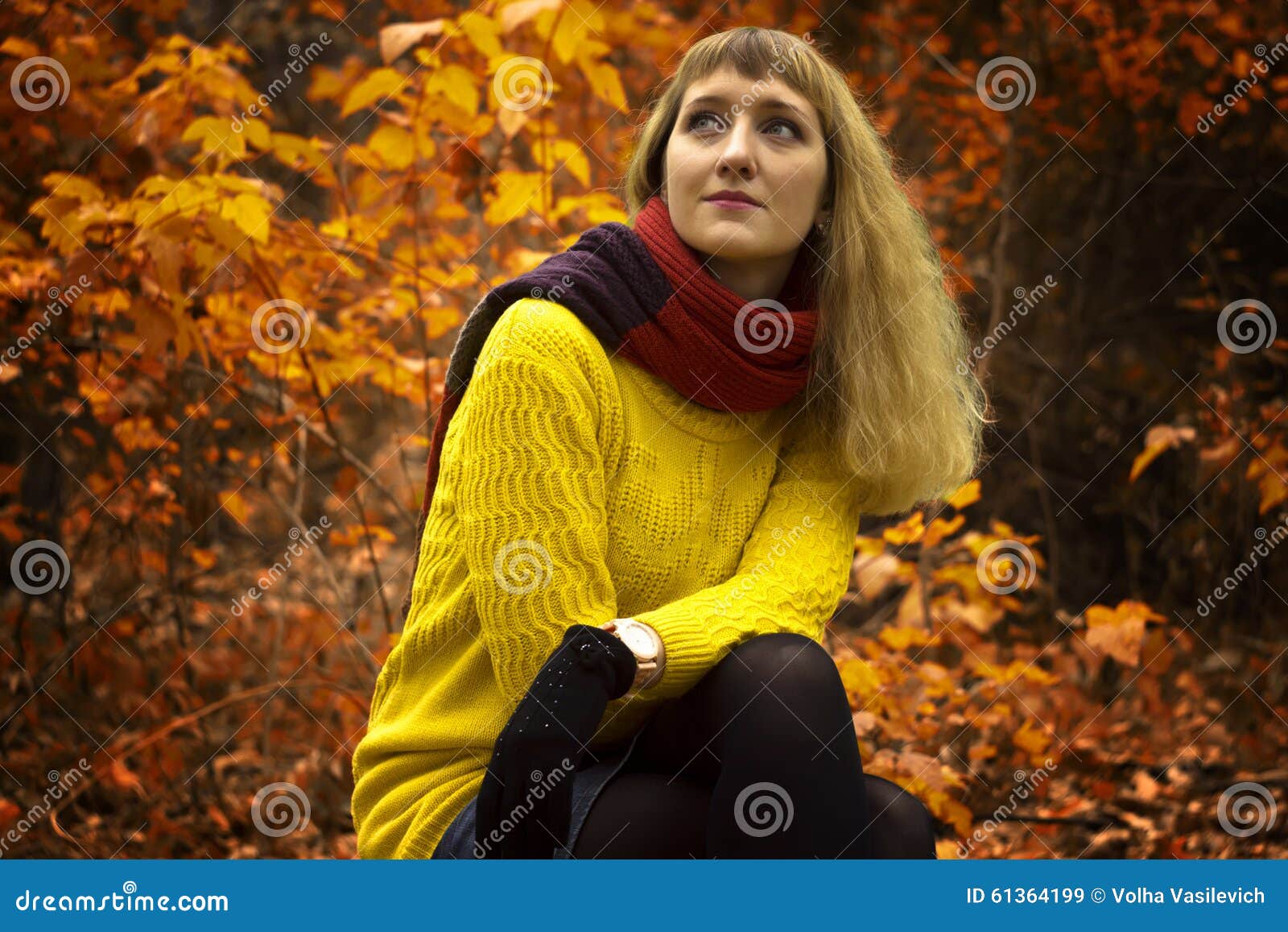 Young Beautiful Girl Sitting in the Park Alone. Stock Image - Image of ...