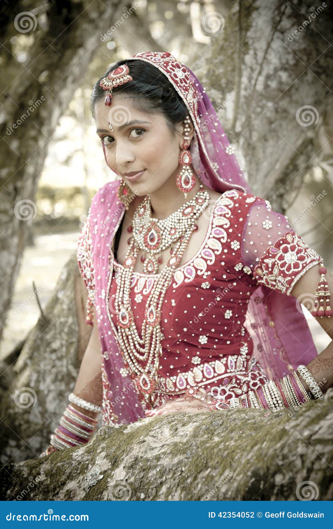 423 Indian Sari Gown Stock Photos - Free & Royalty-Free Stock Photos from  Dreamstime