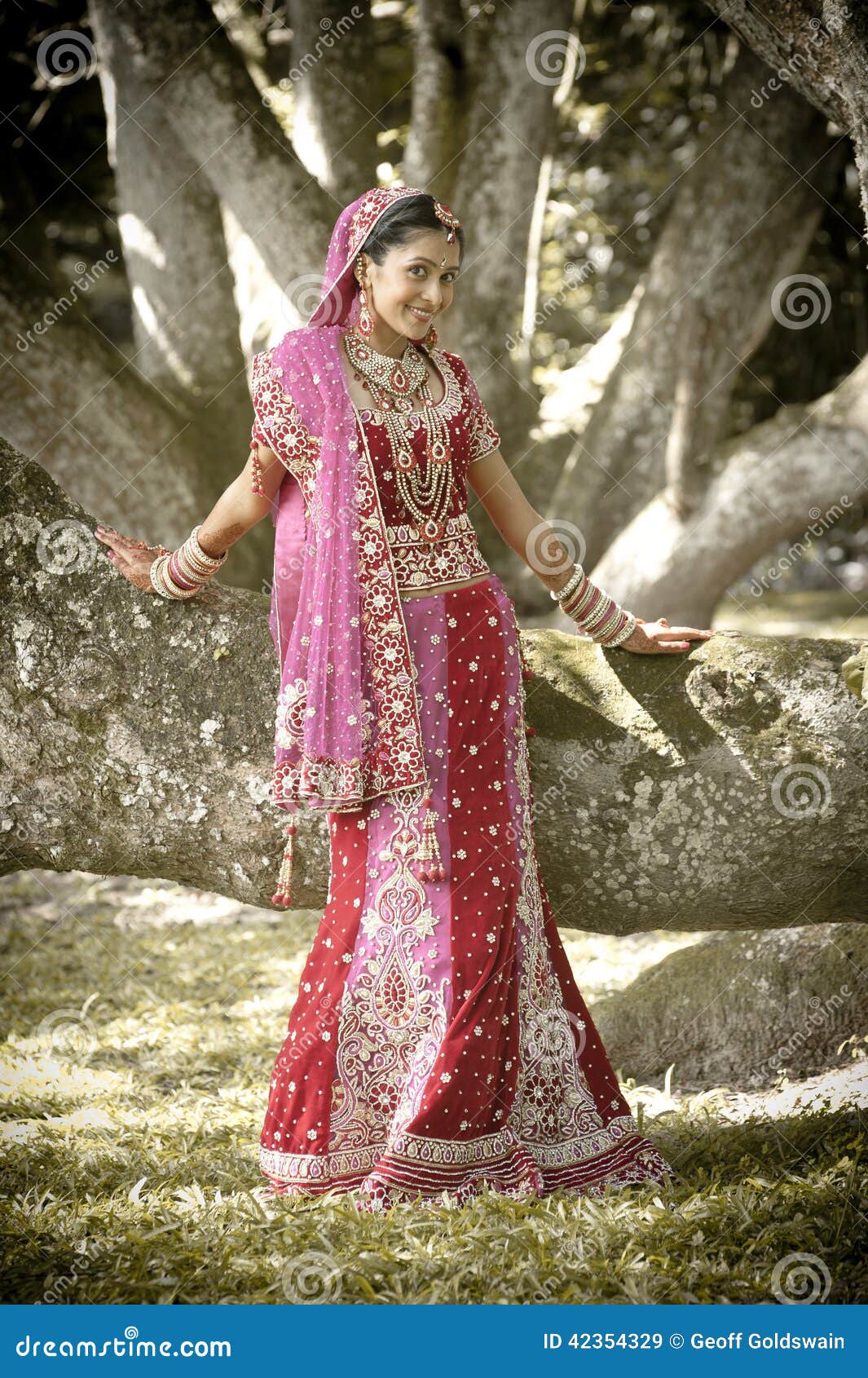 Young Beautiful Indian Hindu Bride Standing Under Tree Stock Image - Image  of happy, dress: 42354329