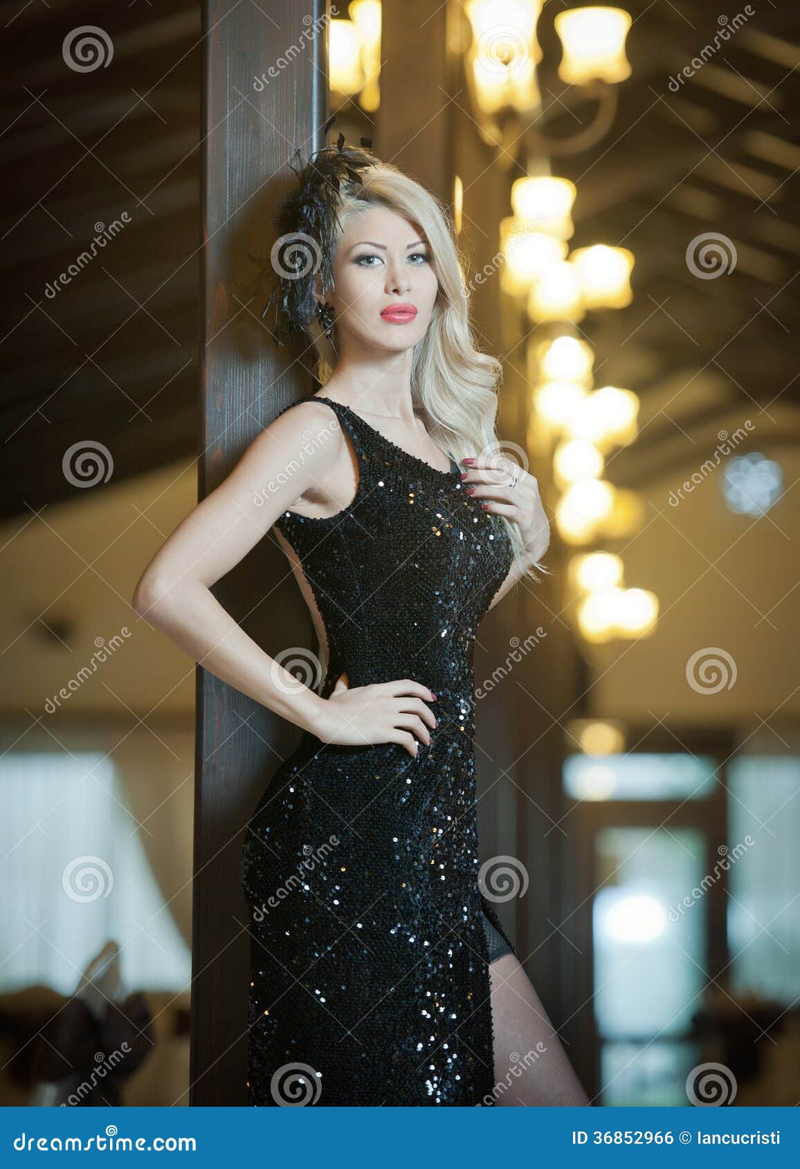 Young Beautiful Luxurious Woman In Long Elegant Black 