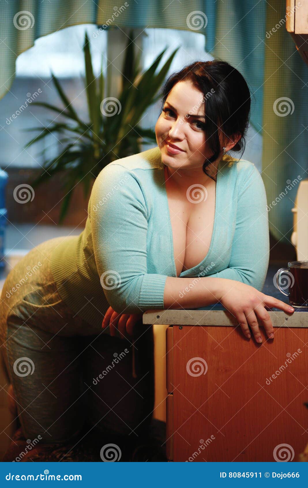 Young Beautiful Housewife in Kitchen Stock Im image