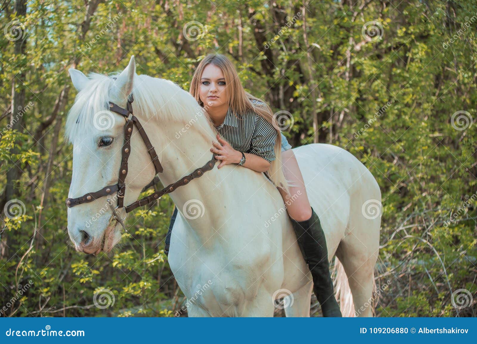 Brunette Woman Riding Dark Horse at Summer Green Forest. Stock Photo ...