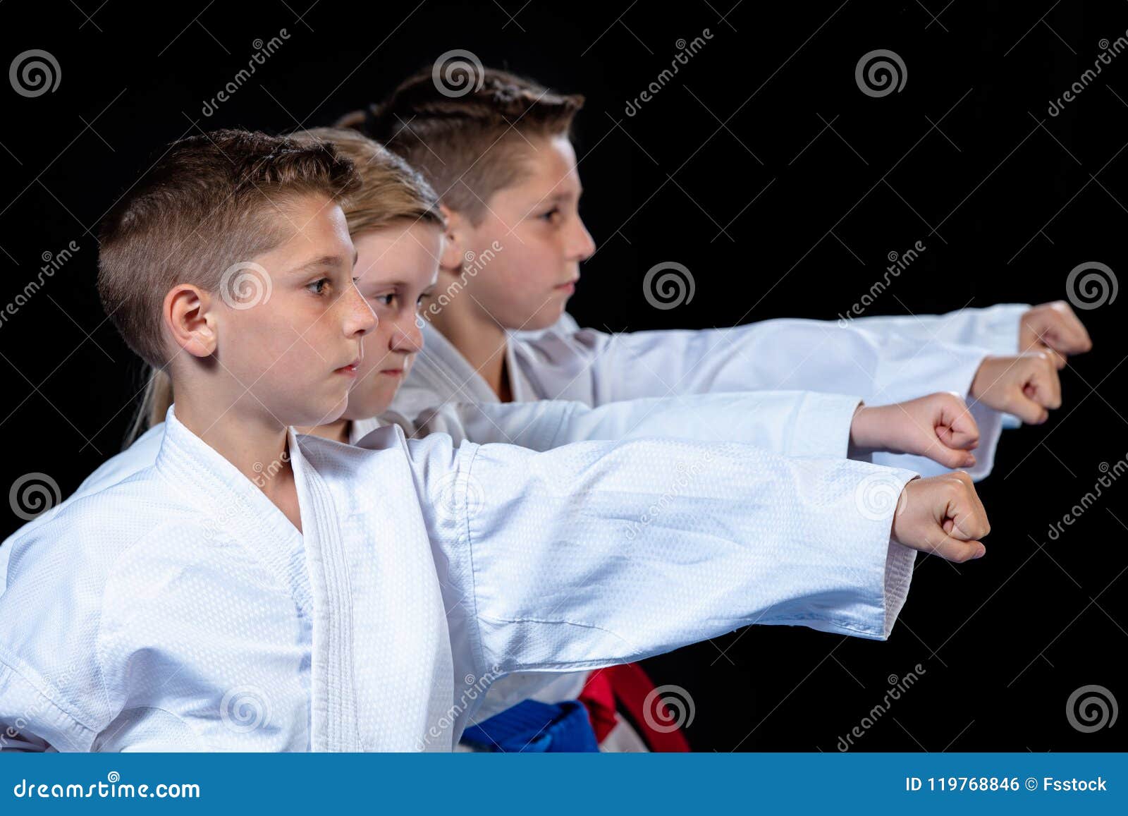 Young, Beautiful, Successful Multi Ethical Karate Kids in Karate ...