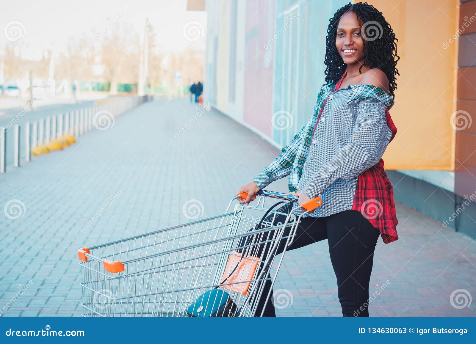 Young Beautiful Woman Dressed in Casual Clothes with a Shopping Cart ...