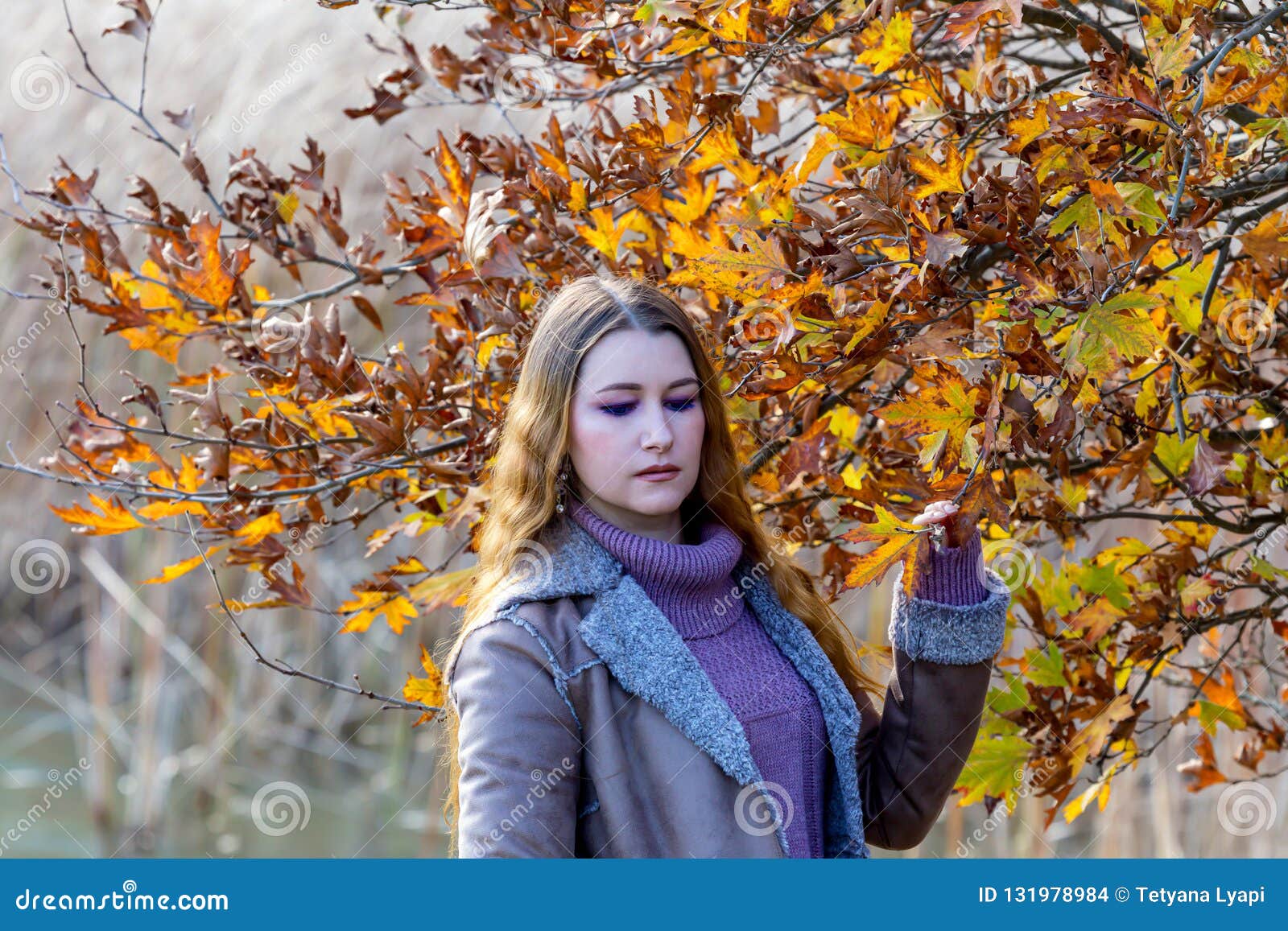 Young Beautiful Woman On The Background Of The Autumn Forest Stock ...