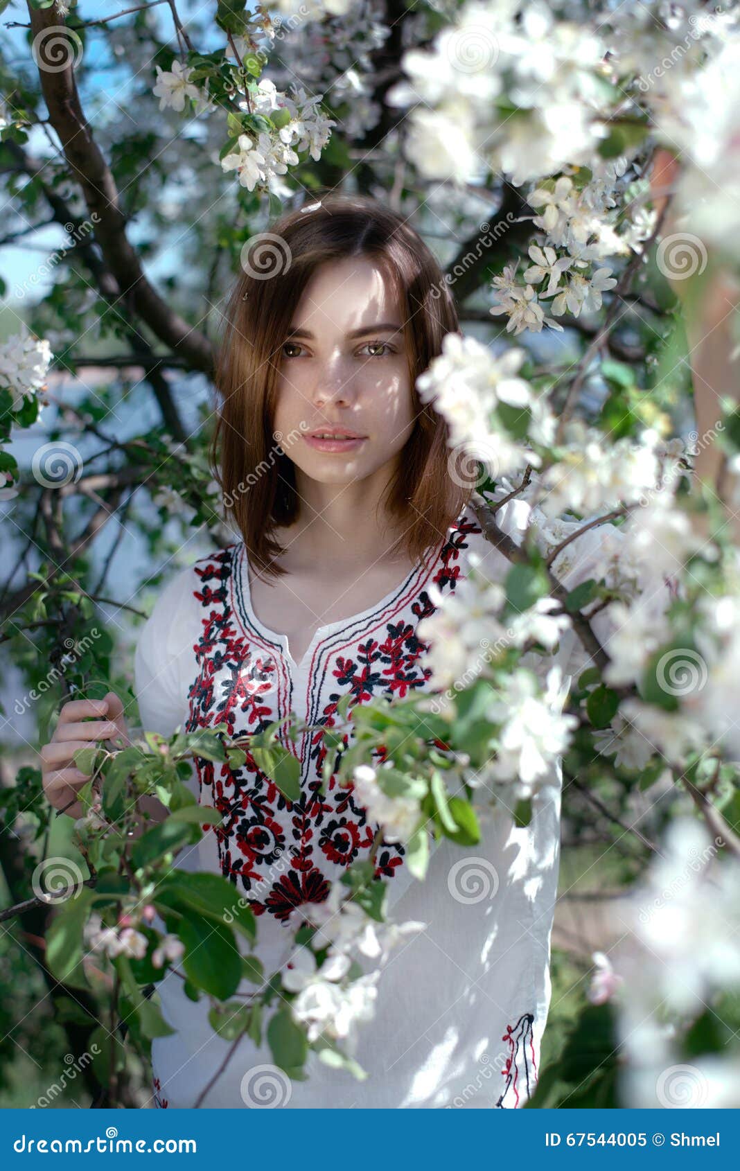 Young Beautiful Woman Near the Apple Tree Stock Image - Image of ...
