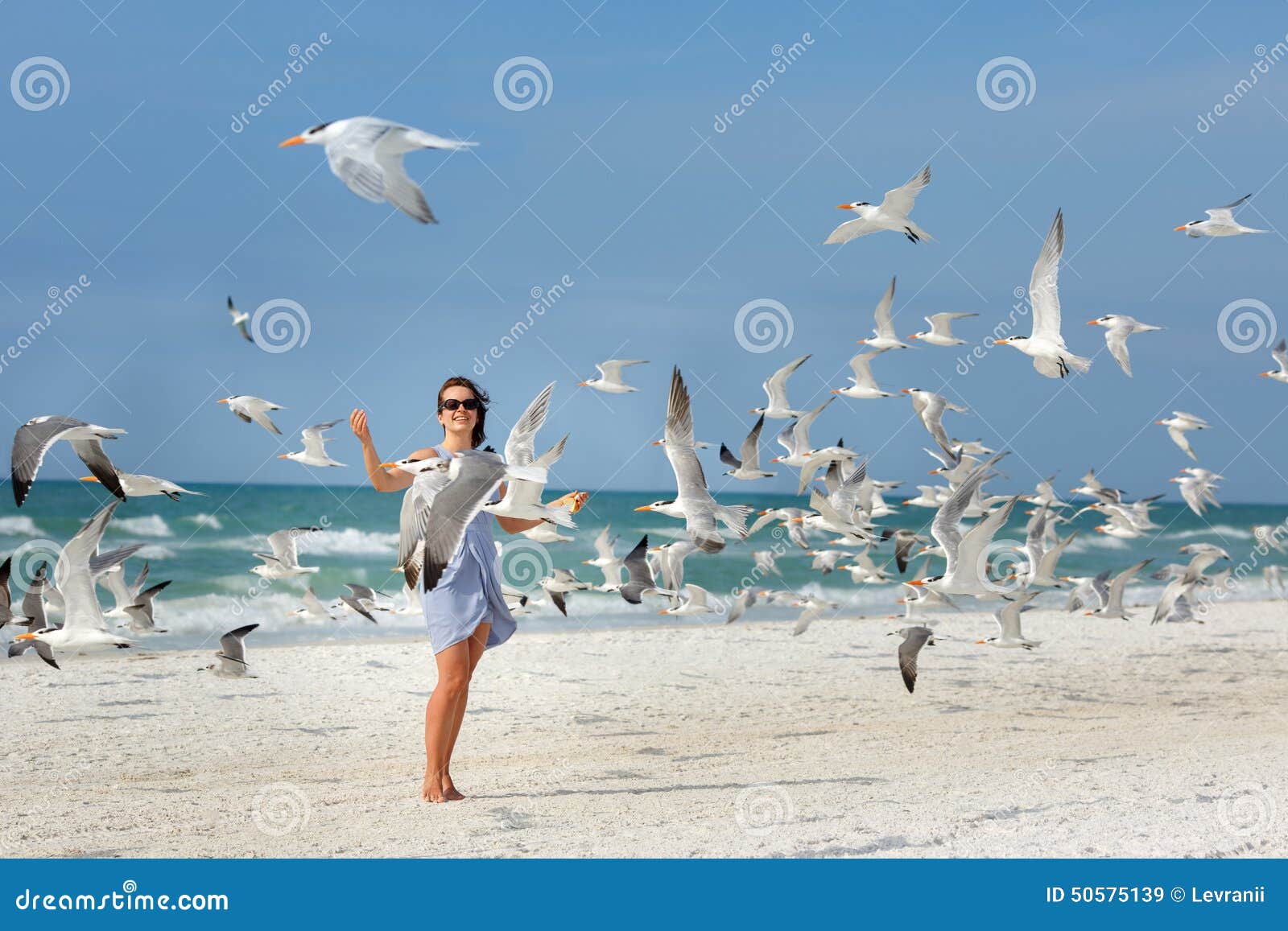 young beautiful woman watching the seagulls flying