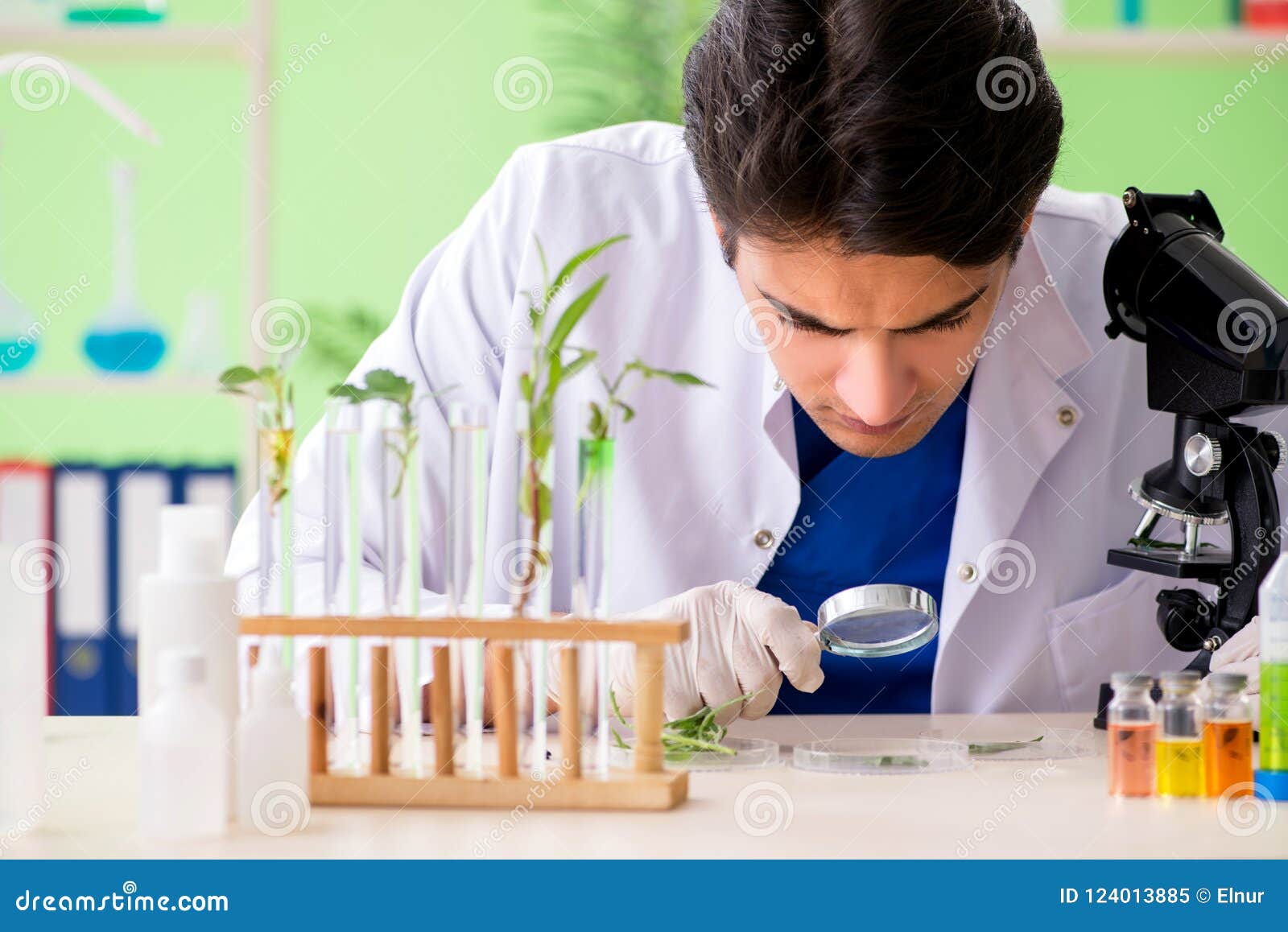 The Young Biotechnology Scientist Chemist Working in Lab Stock Image