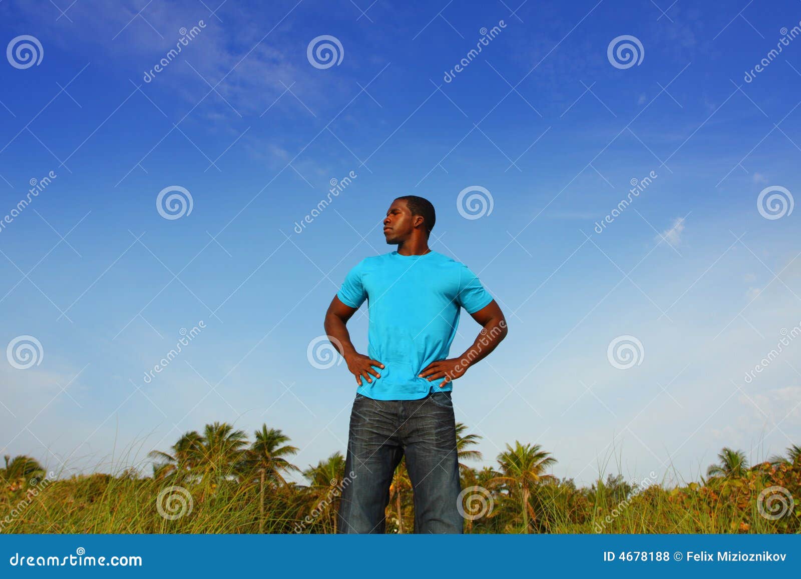 34 504 Standing Tall Photos Free Royalty Free Stock Photos From Dreamstime 34 504 Standing Tall Photos Free Royalty Free Stock Photos From Dreamstime