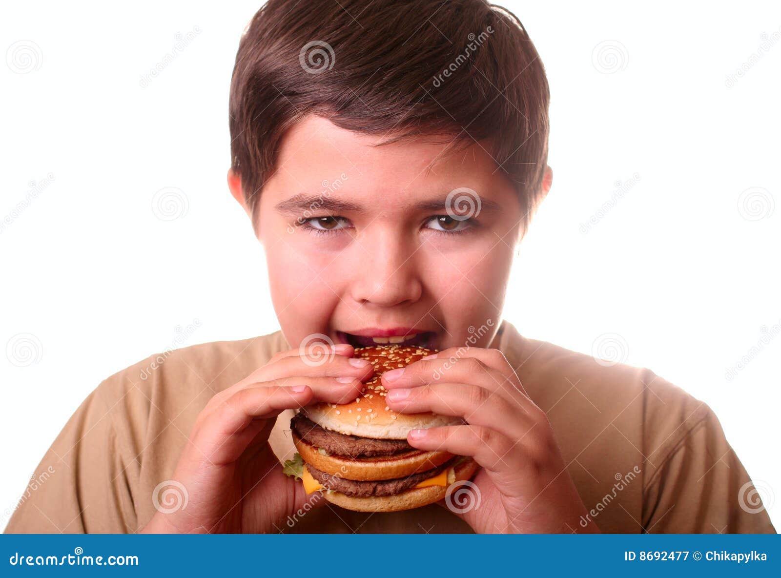 Young boy eating hamburger stock image. Image of dinner 8692477