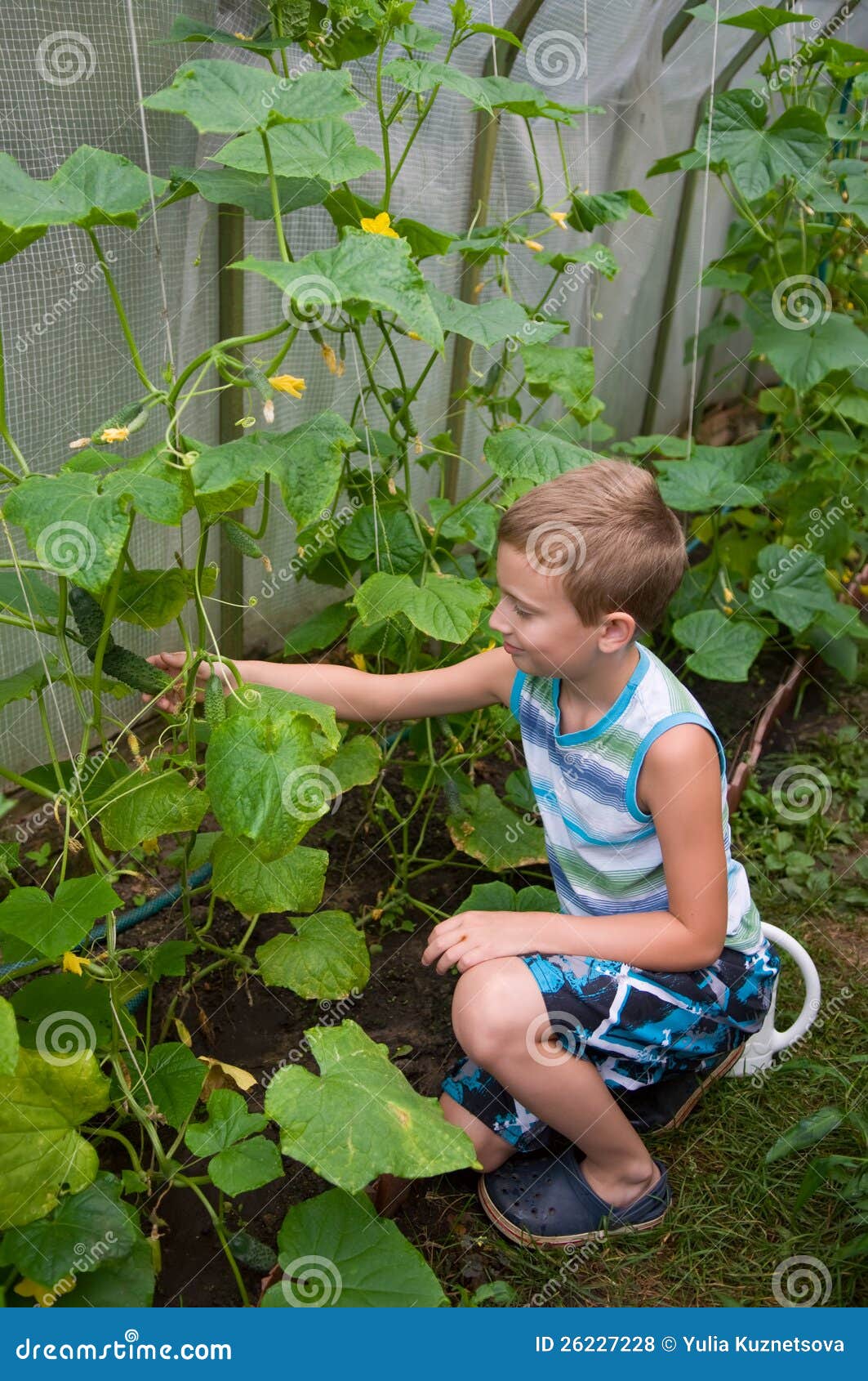 young boy in hothouse