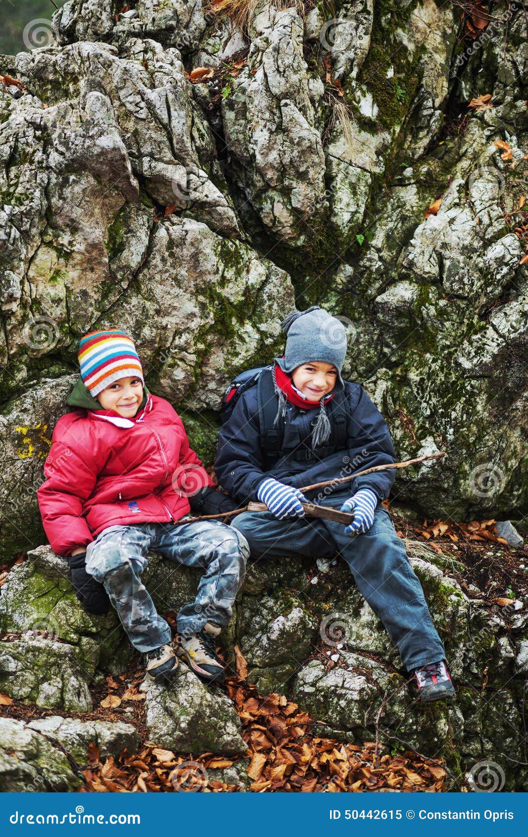 Young boys hiking stock image. Image of hiking, joful 50442615