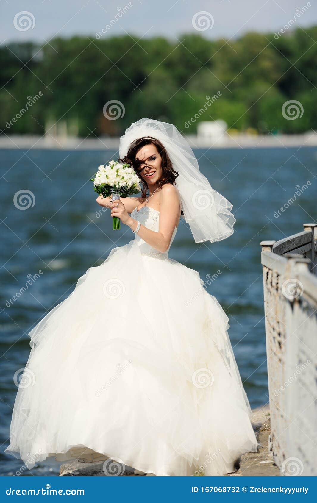 Young bride stock photo. Image of elegance, gown, flower 