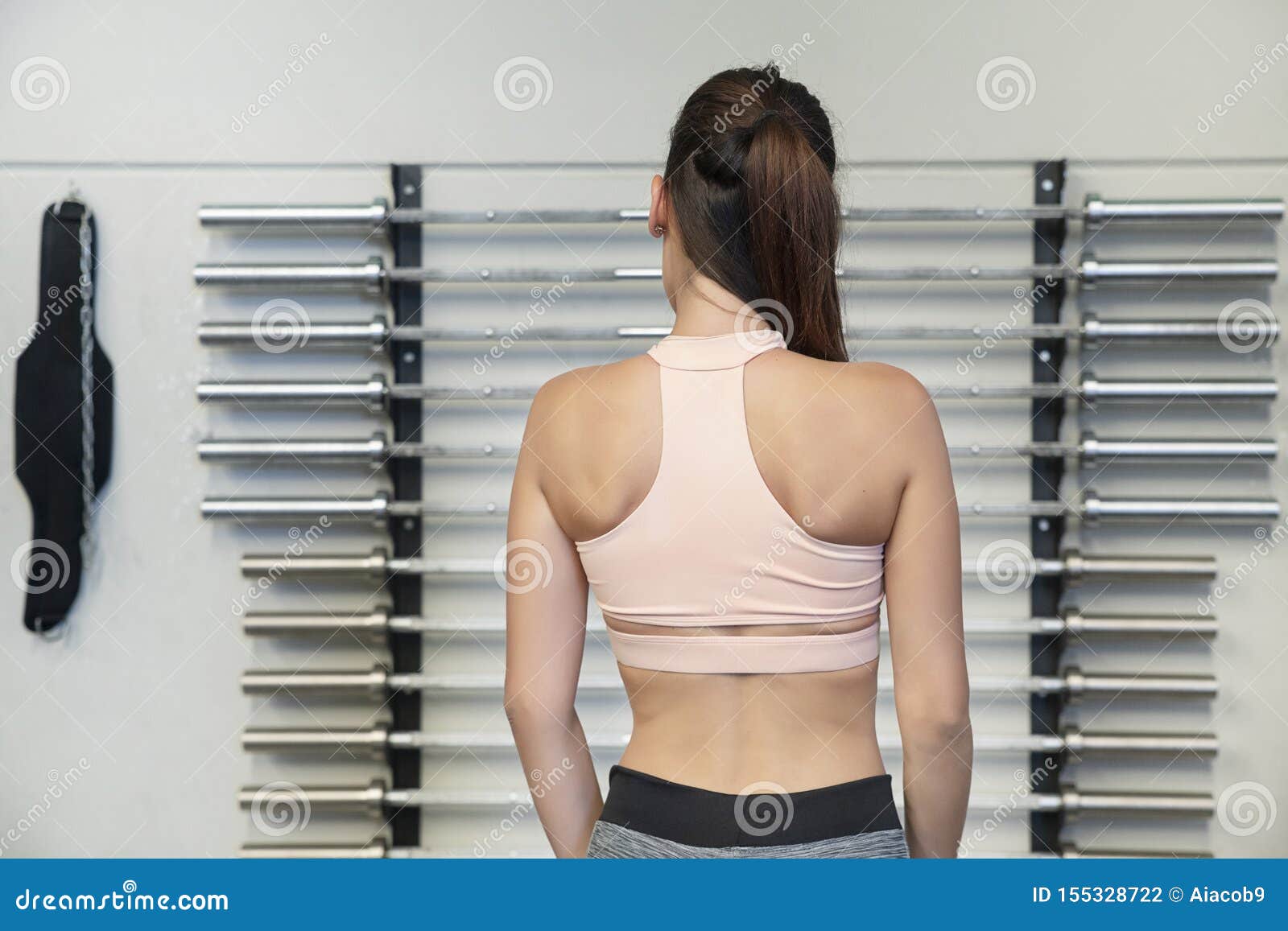 Young Caucasian Woman Showing Her Toned and Defined Back at the Gym or a  Fitness Studio Stock Photo - Image of energy, power: 155328722