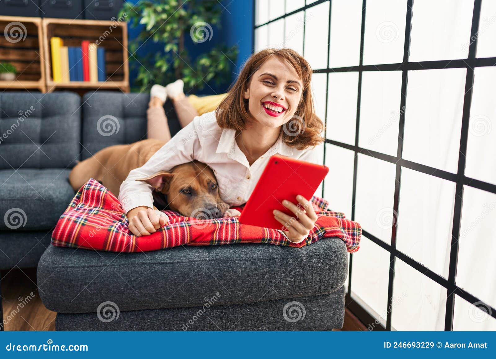 Young Caucasian Woman Using Touchpad Lying on Sofa with Dog at Home Stock Image Image of