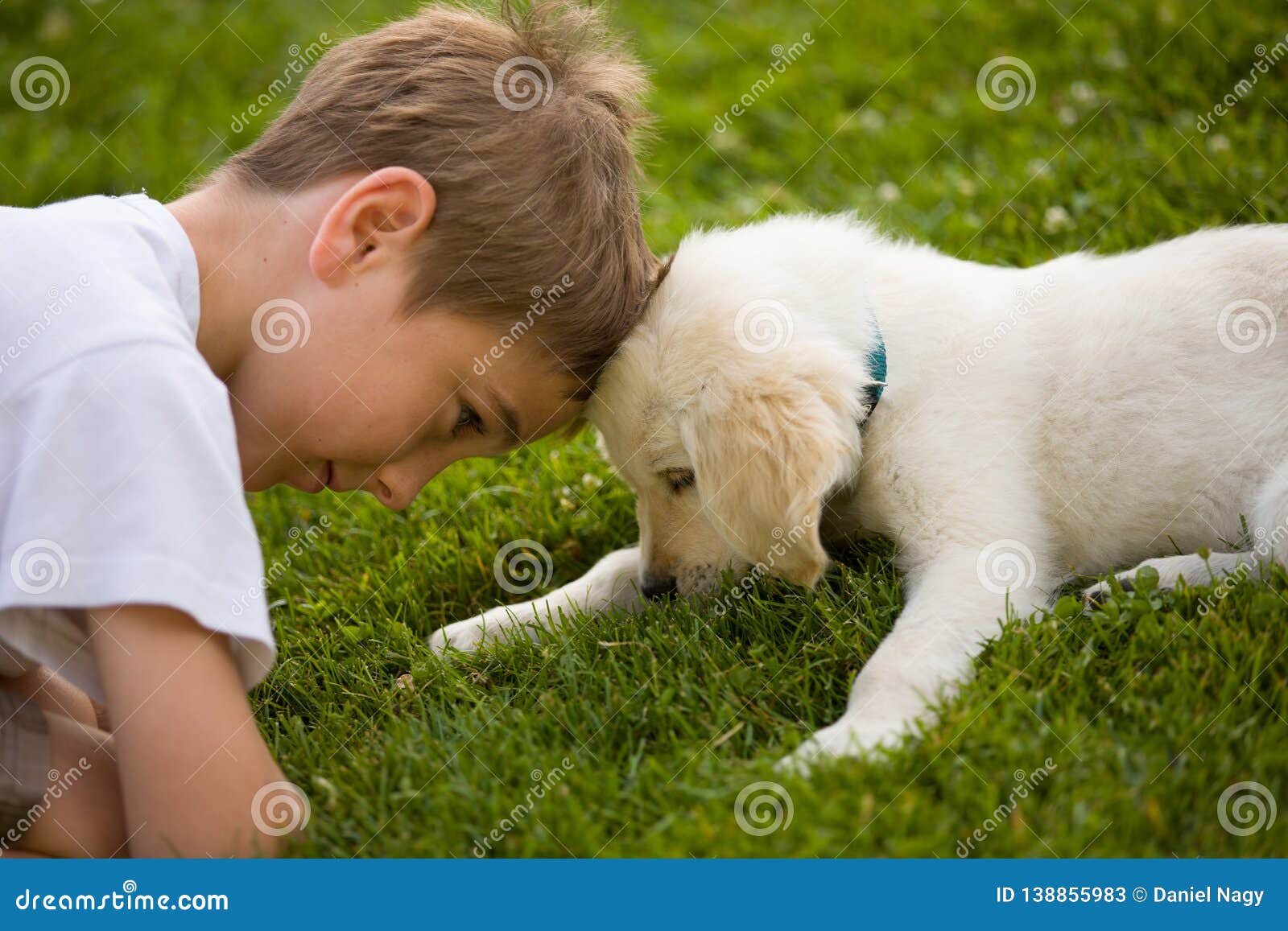 Little Boy Plays With Puppy Golden 