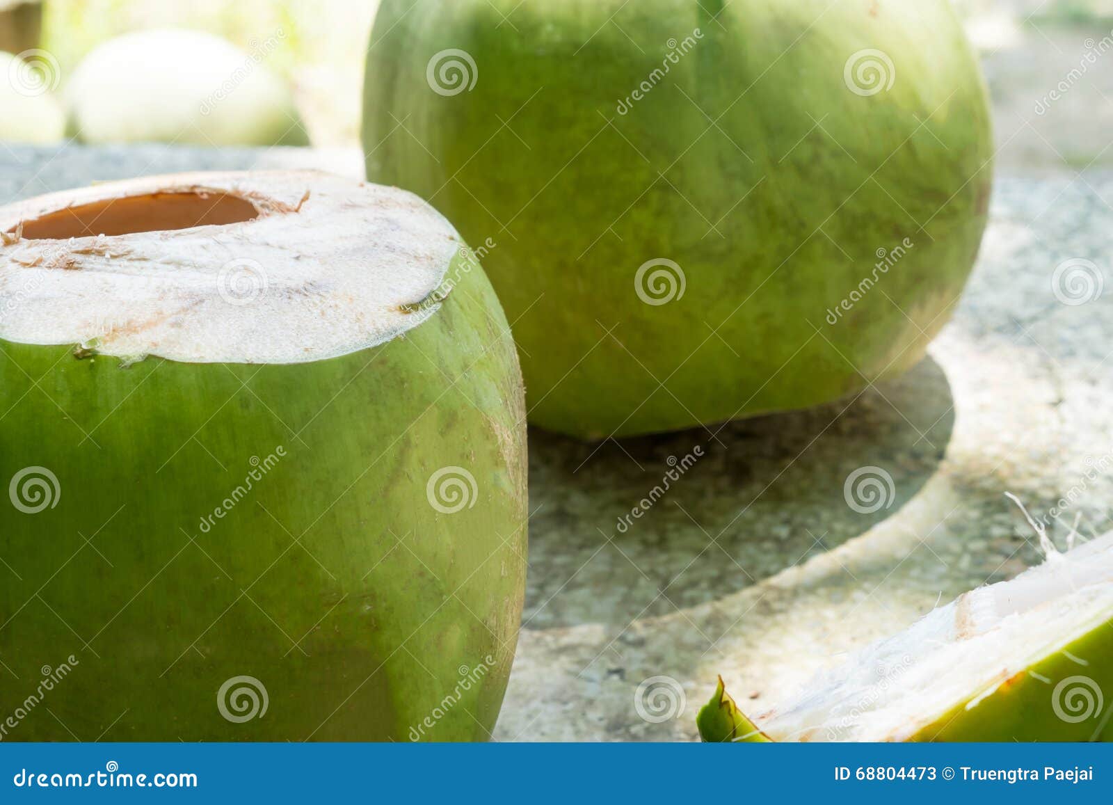 Young coconuts stock image. Image of asian, hormone, round 68804473