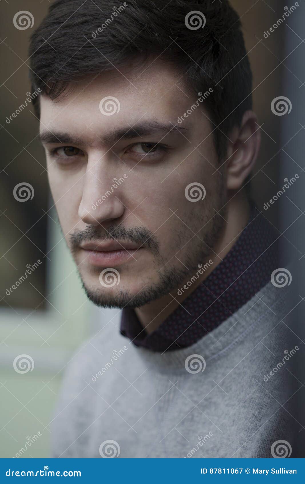 Young Confident Man in Sweater Stoic Stock Image - Image of smart ...