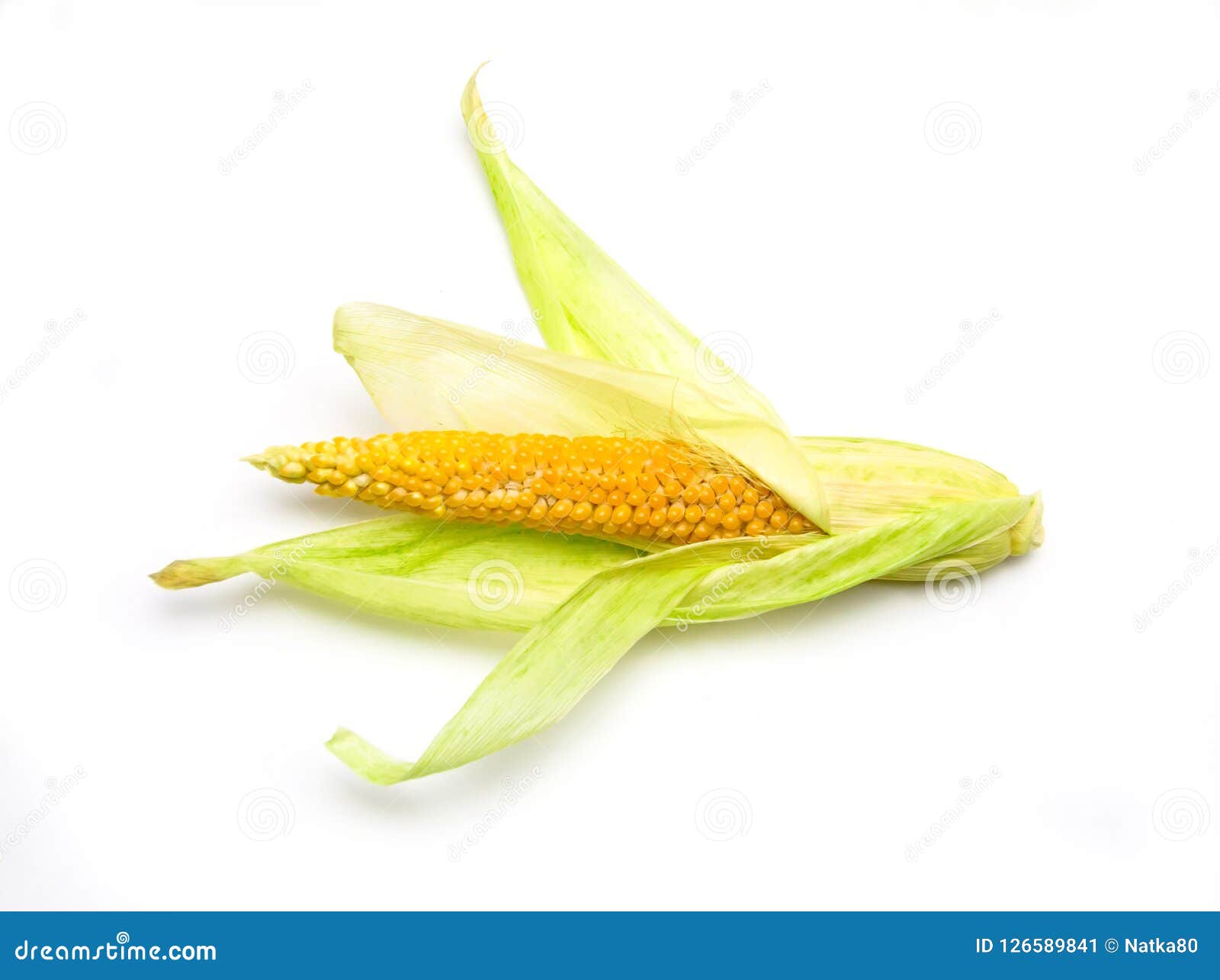 Young Corn on the Cob White Background Stock Image Image of peel