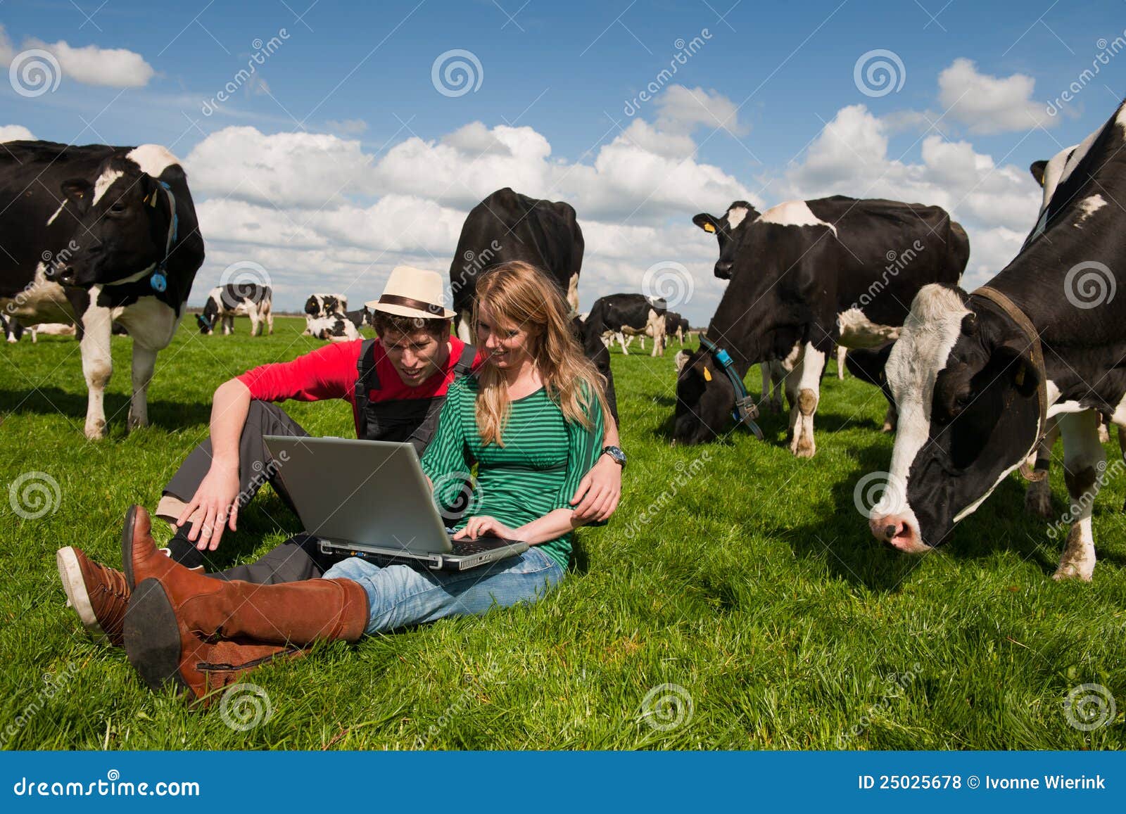 young couple farmers in field with cows