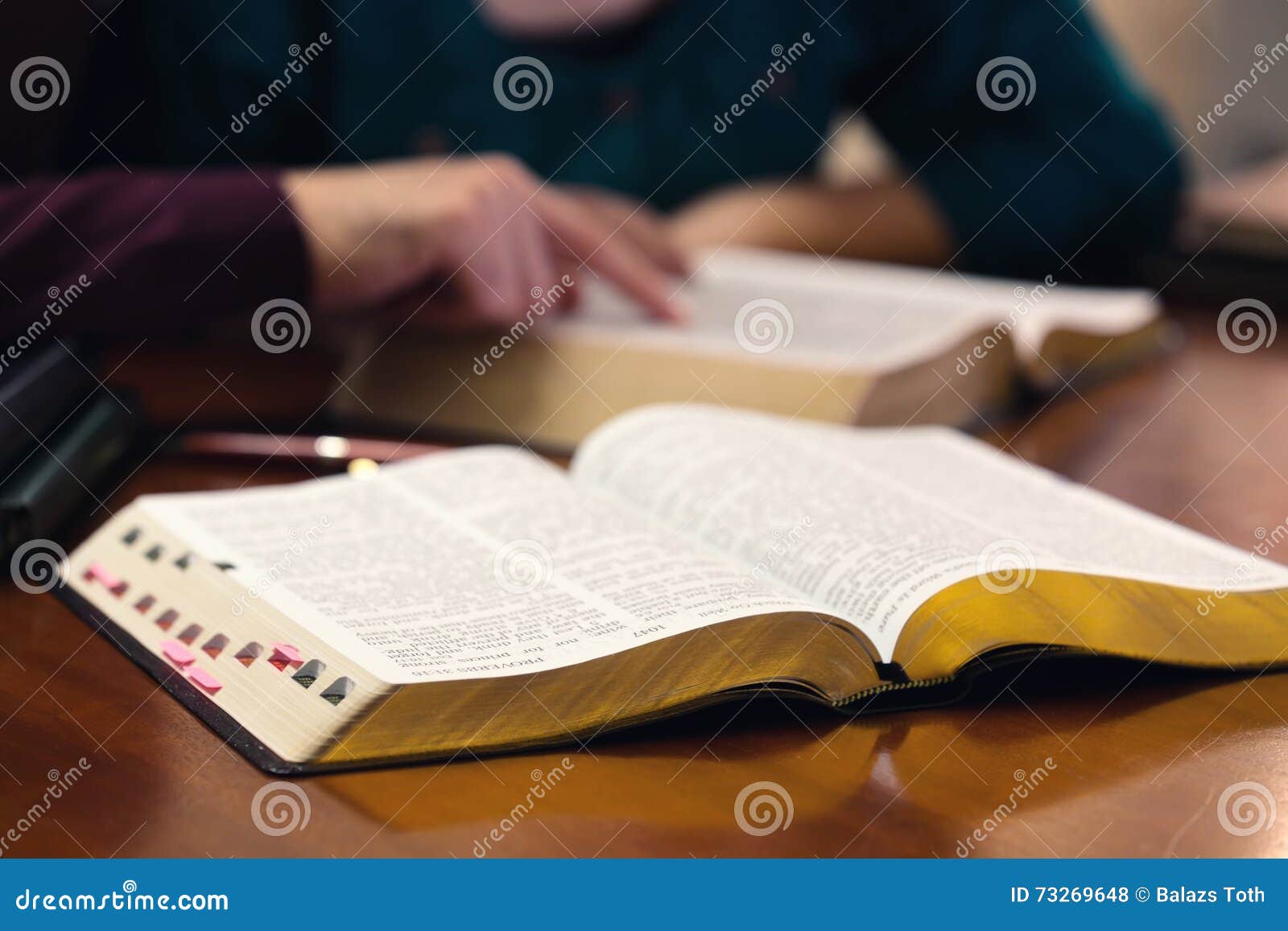 young couple studying the bible