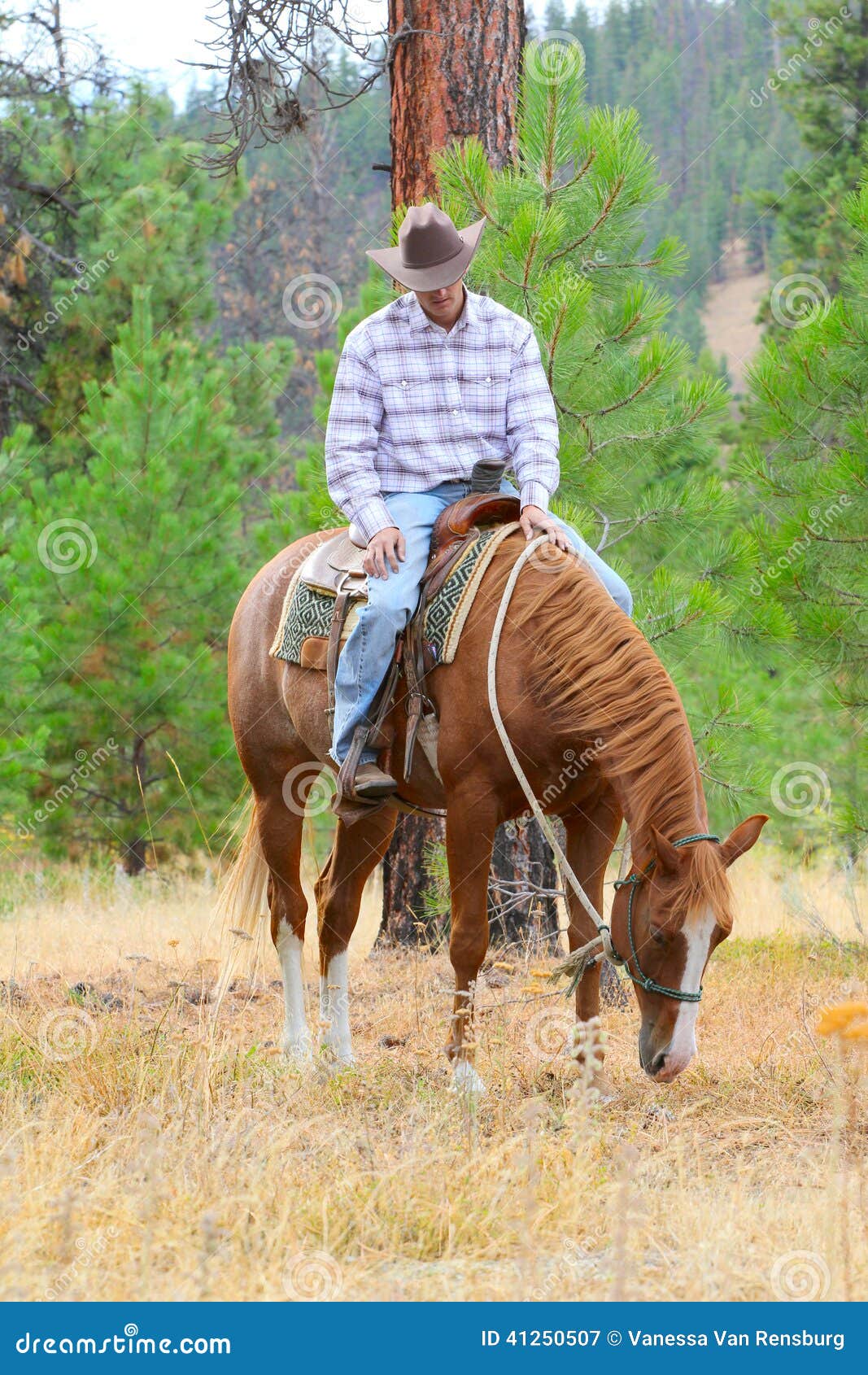 Young cowboy stock image. Image of bush, denim, plants - 41250507