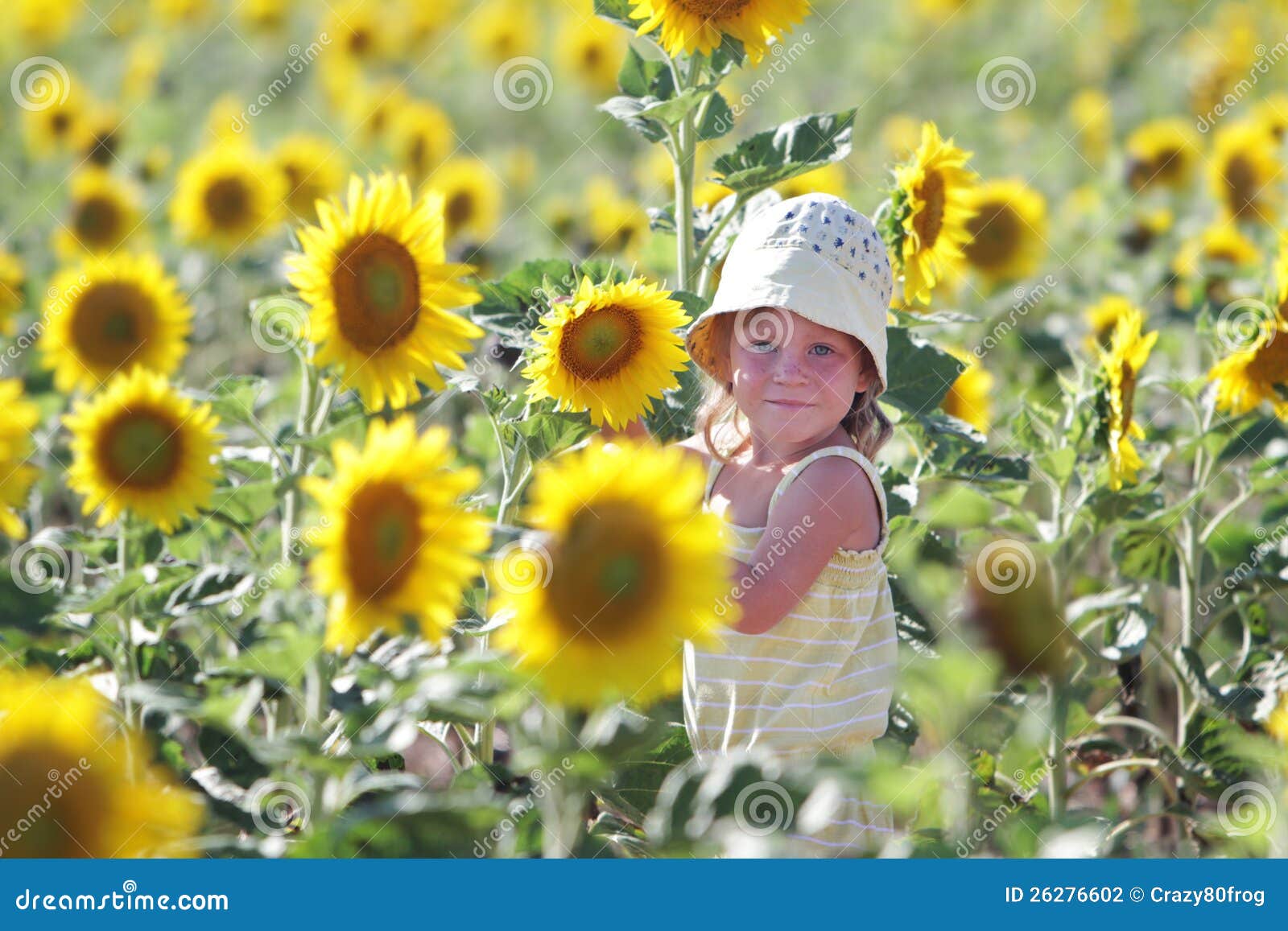 Young Cute Child with Sunflower Stock Photo Image of freedom