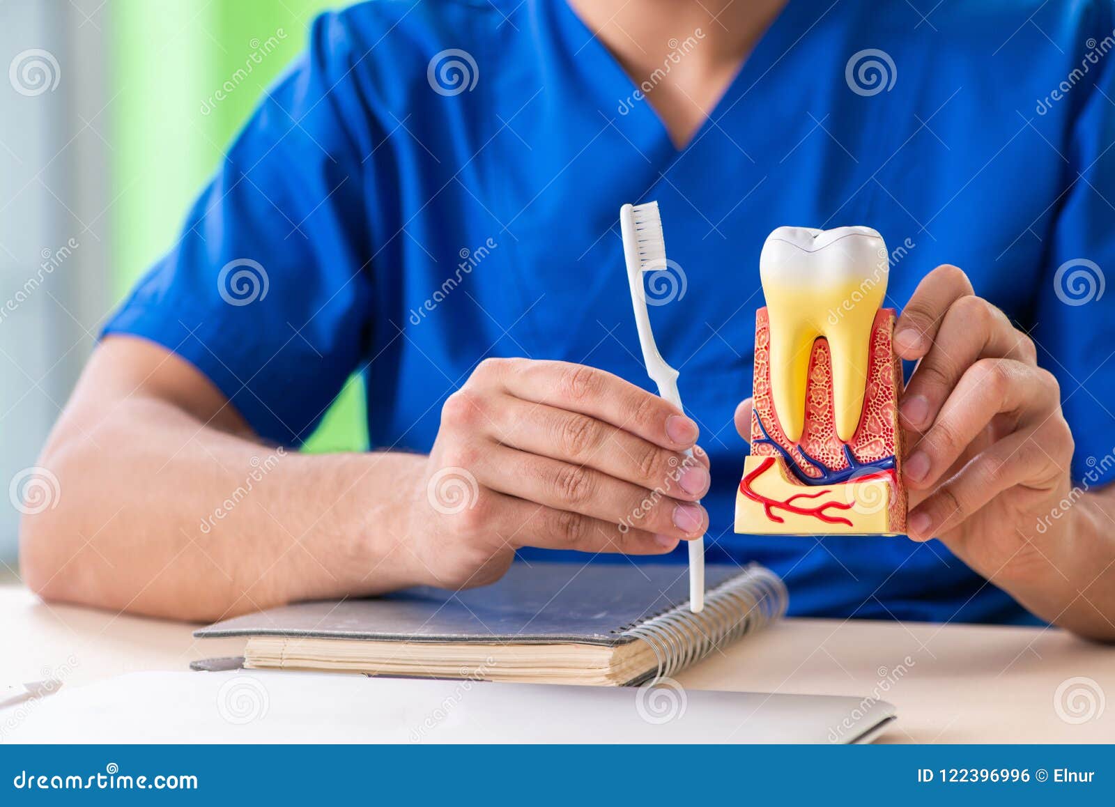 The Young Dentist Practicing Work on Tooth Model Stock Photo Image of