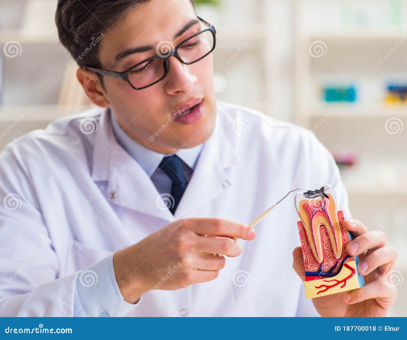 Young Dentist Working in the Dentistry Hospital Stock Photo Image of