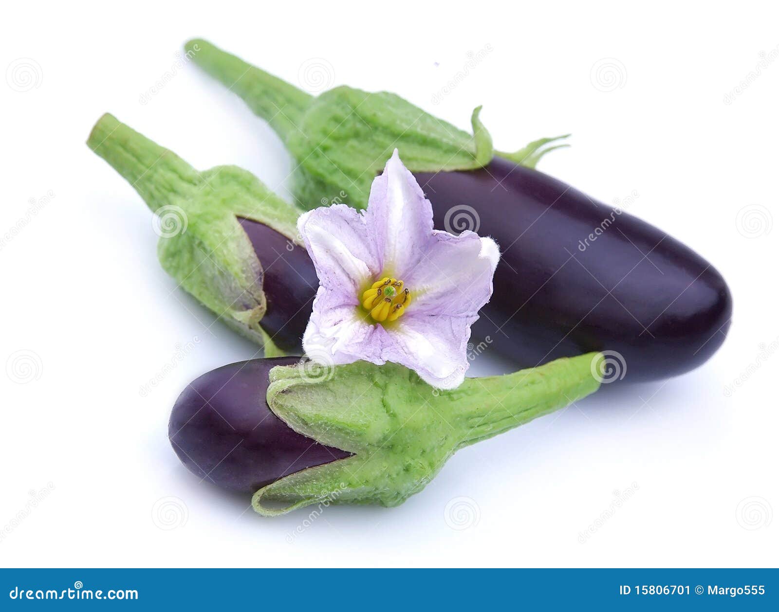 Young Eggplants( Aubergine) Stock Image Image of three, multi 15806701