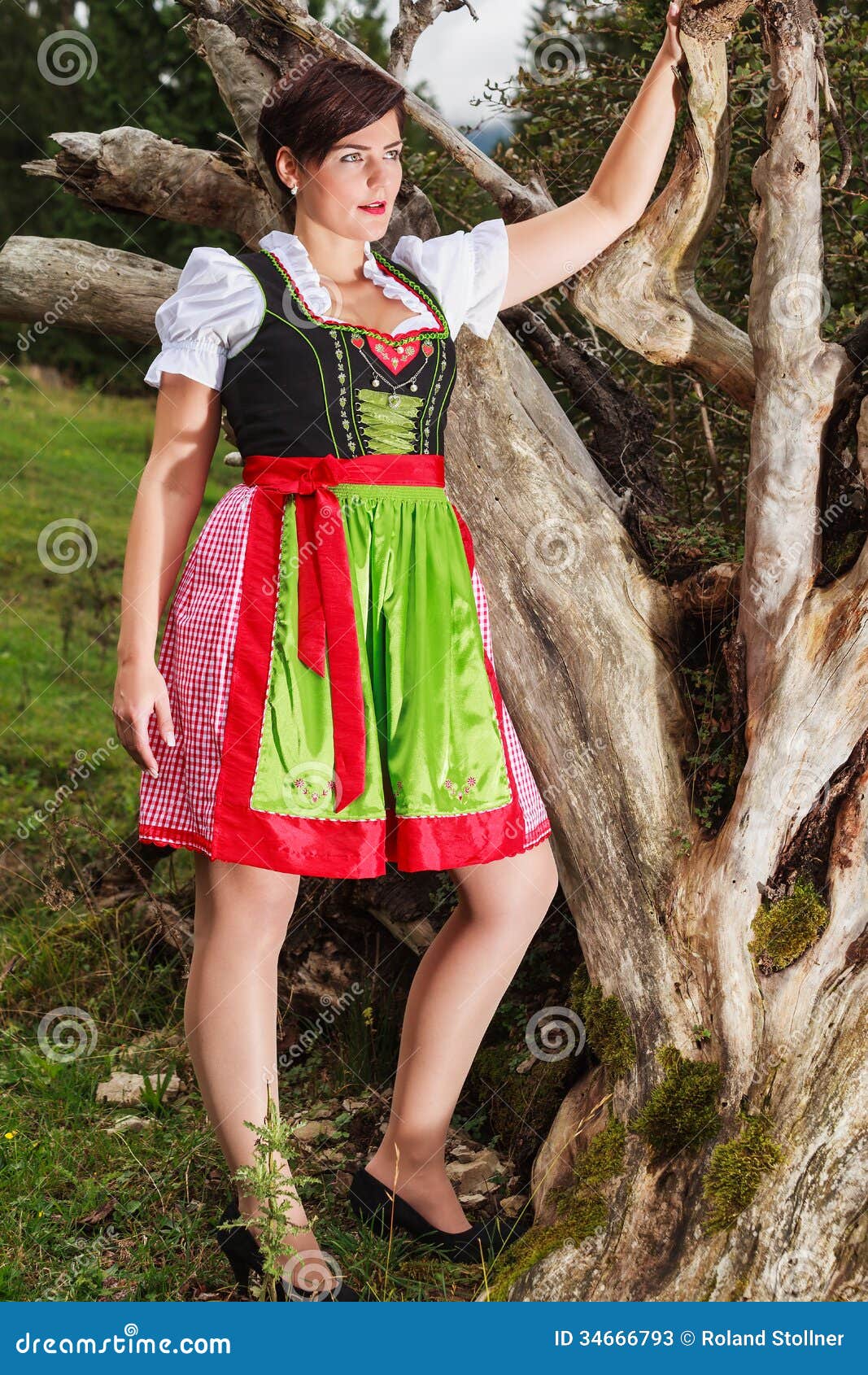 Young Elegant Woman in Bavarian Dress Fashion Stock Image - Image of  beautiful, dirndl: 34666793