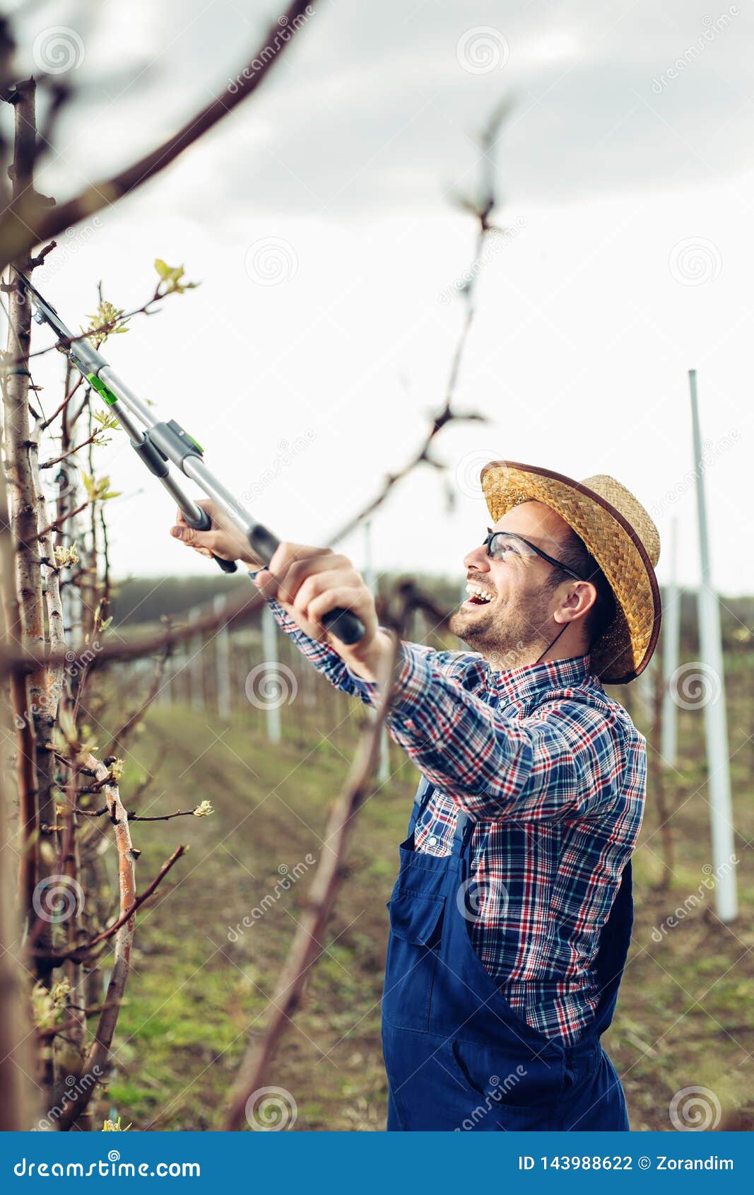 download free pruning fruit trees download free pruning fruit trees