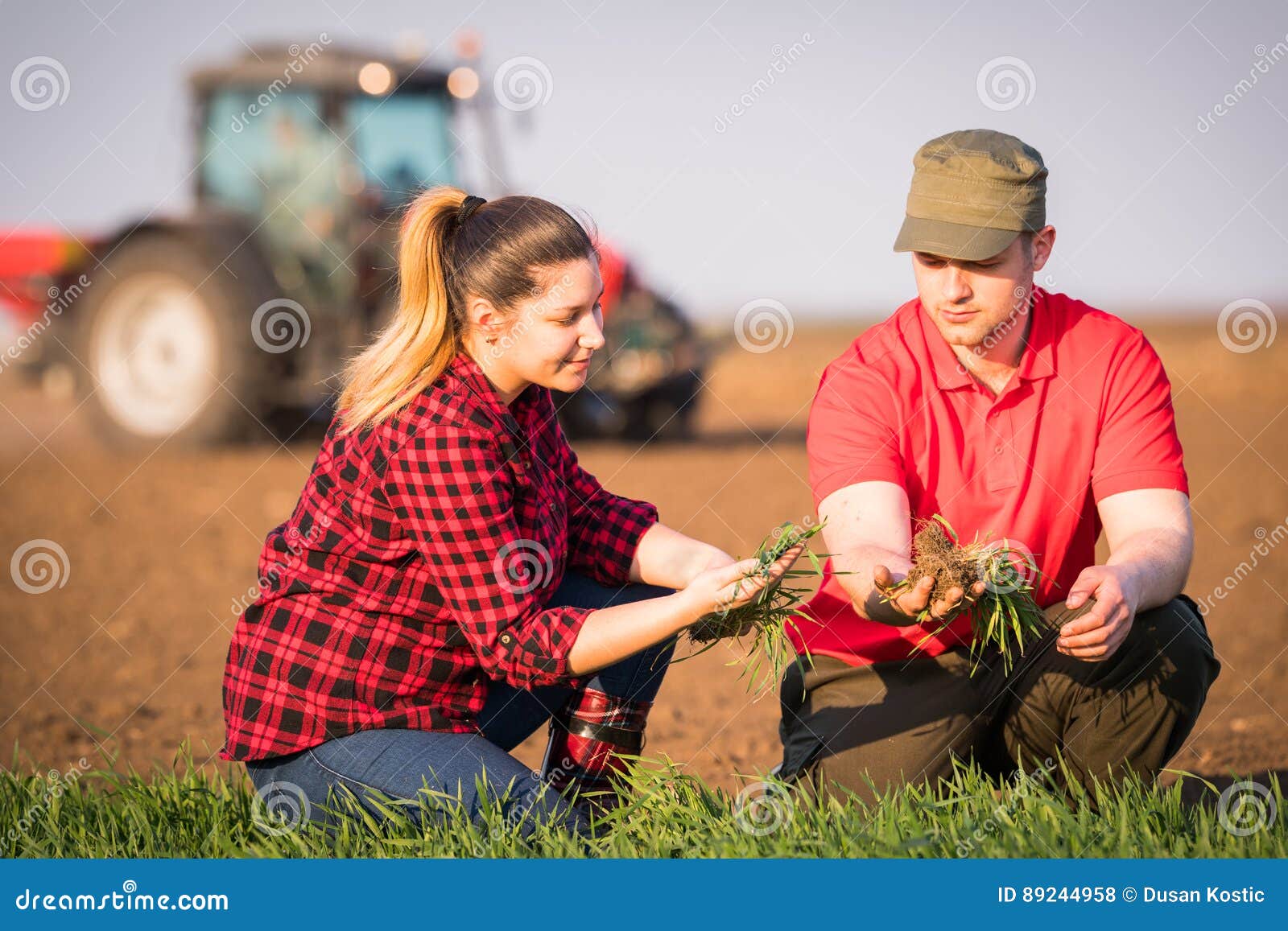 young farmers examing planted wheat while tractor is plowing fi